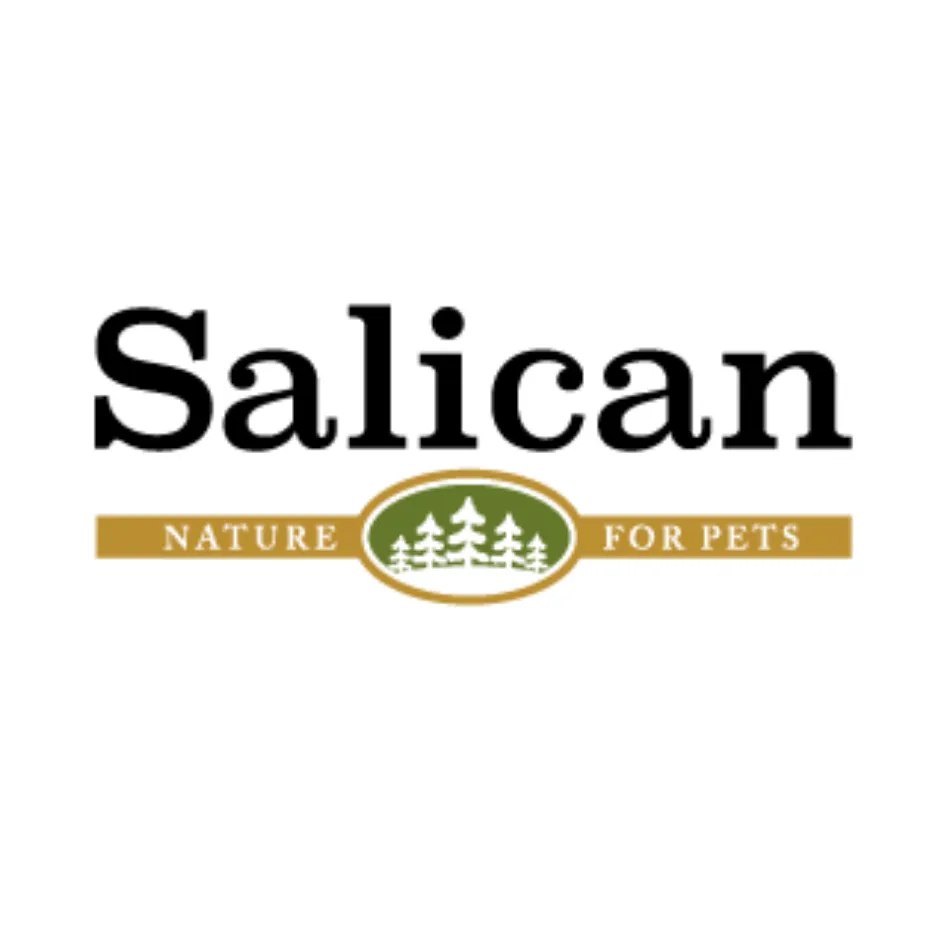 Salican 挪威森林