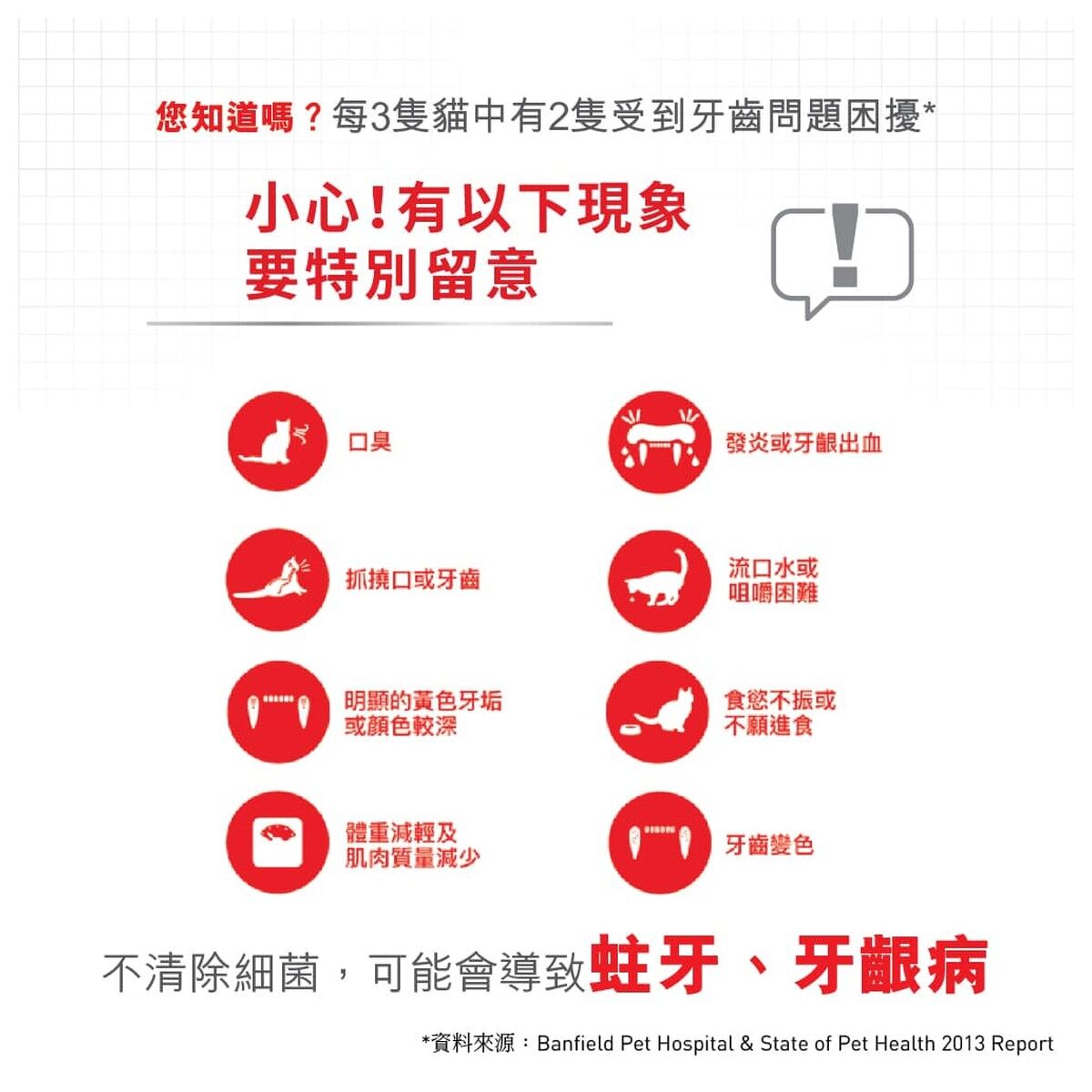 royal-canin-cat-food-dental-care-adult-info-2-rc-os30-c.jpg