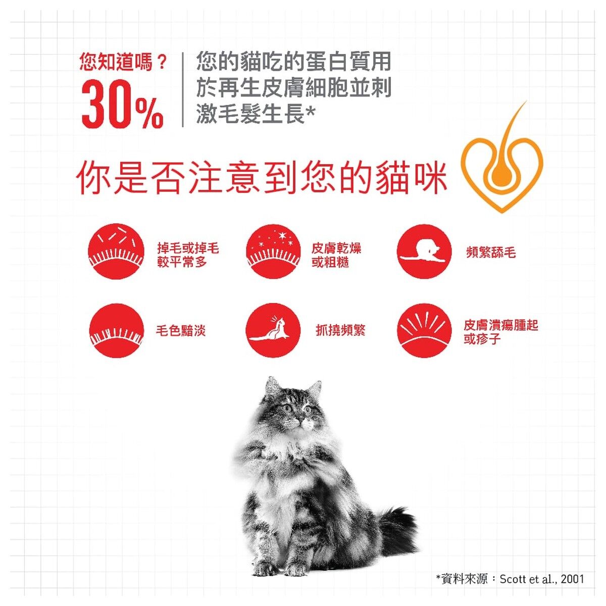 royal-canin-cat-food-hair-and-skin-care-adult-info-2-rc-hs33-c.jpg