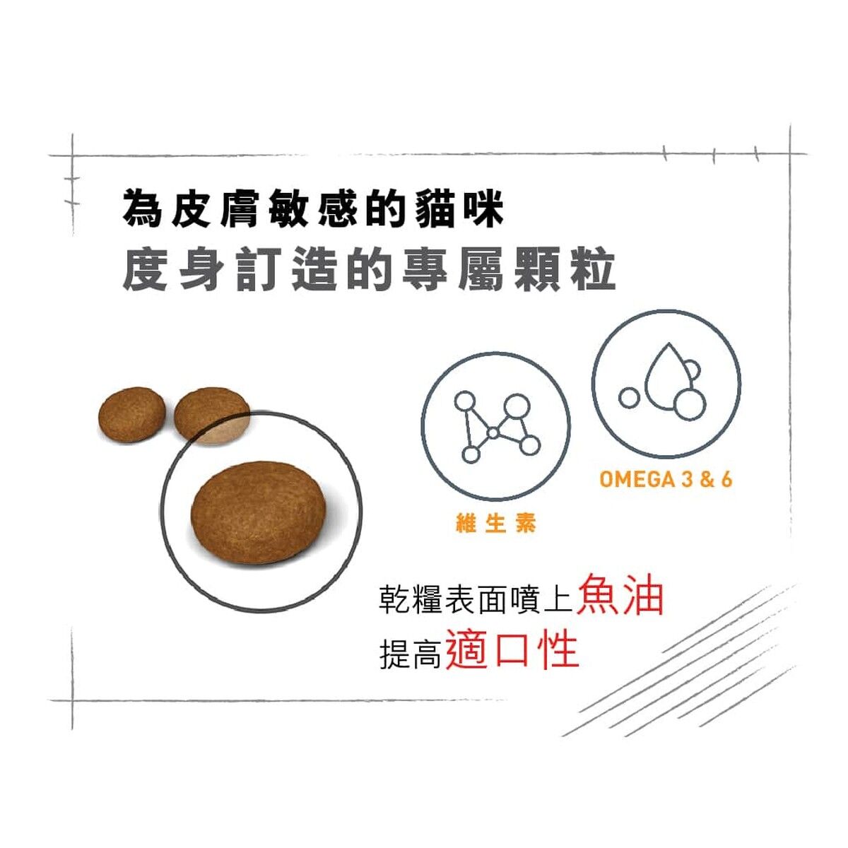 royal-canin-cat-food-hair-and-skin-care-adult-info-4-rc-hs33-c.jpg