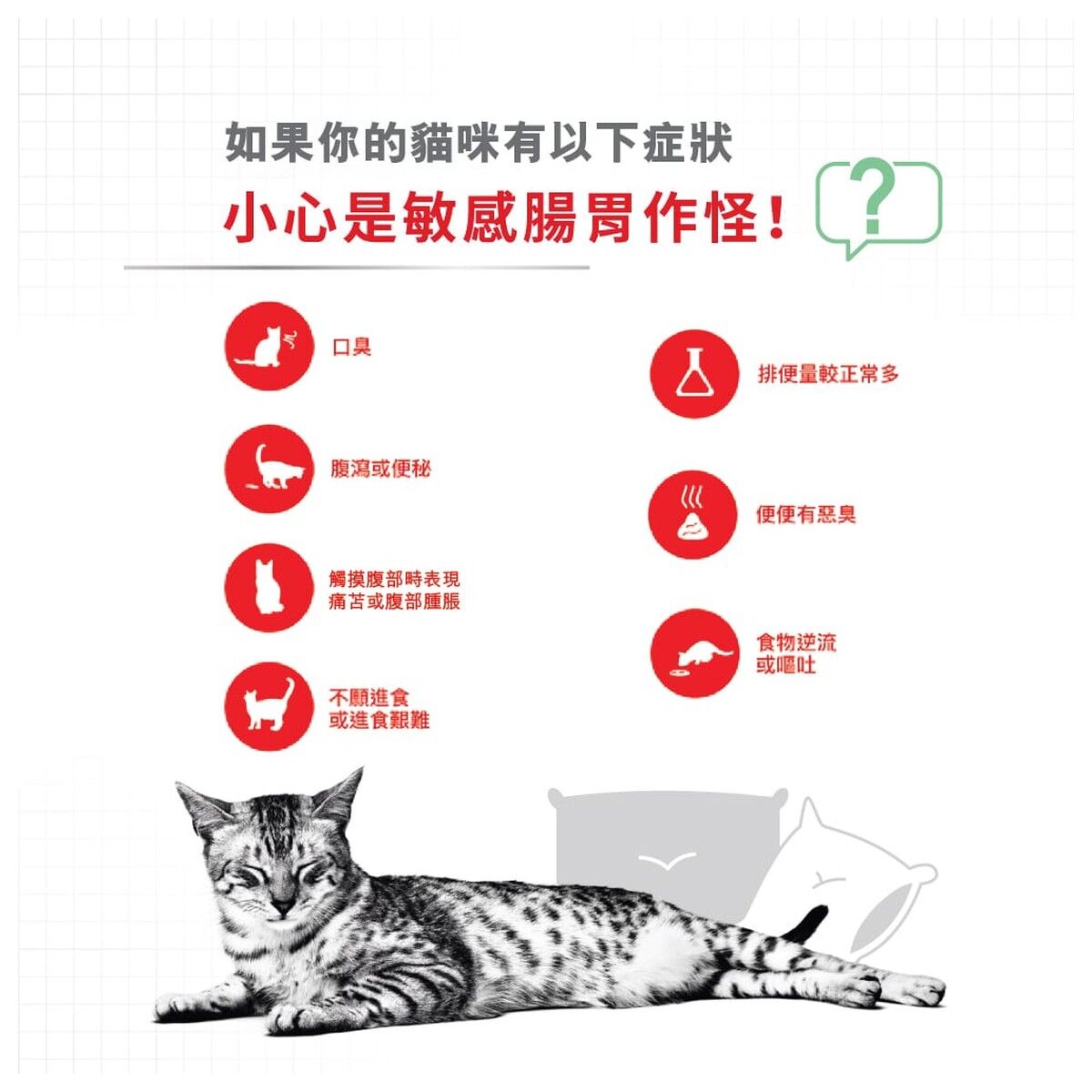 royal-canin-cat-food-digestive-care-adult-info-2-rc-dgc38-c.jpg