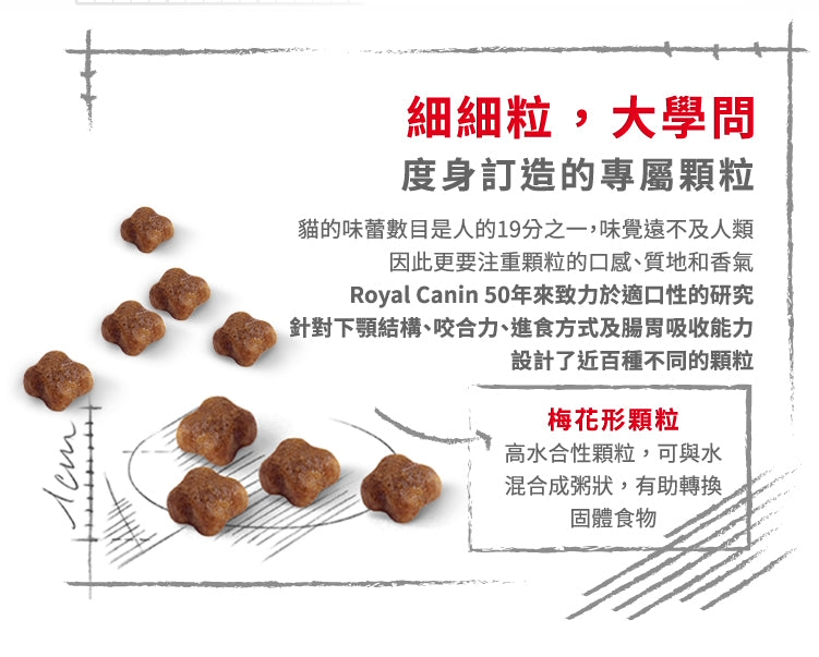 image (3).png