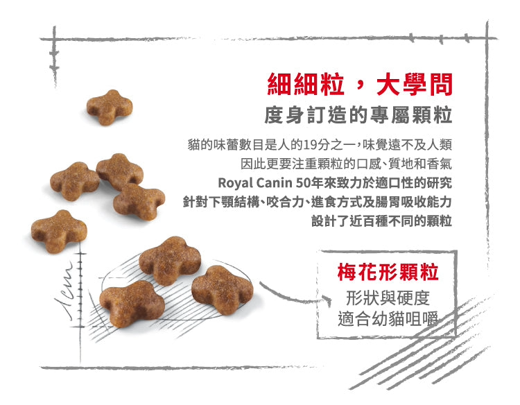 image (3).png