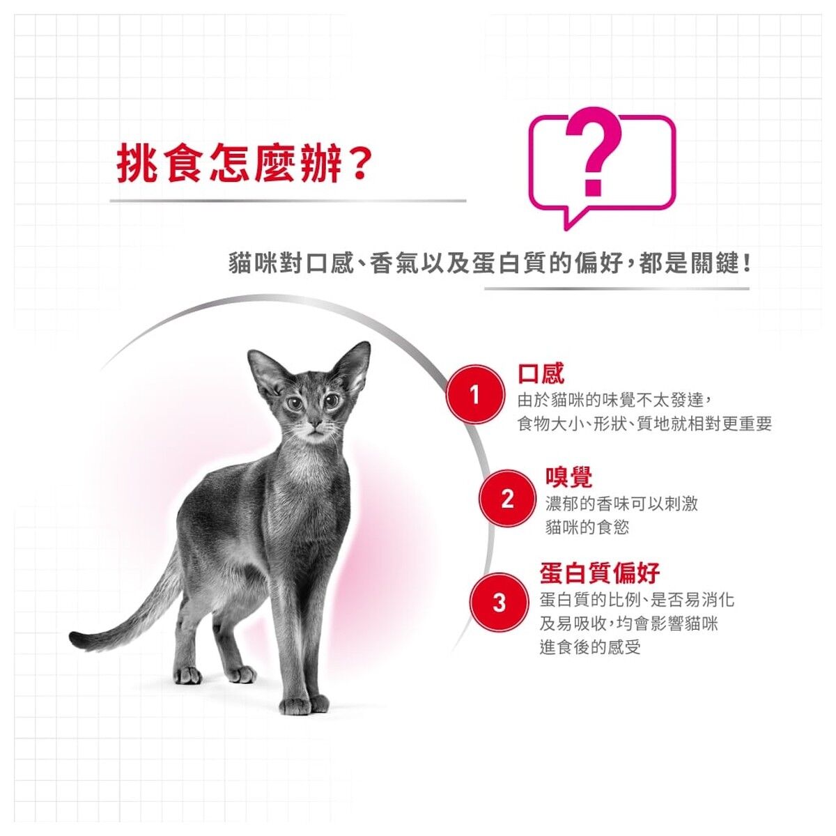 royal-canin-cat-food-feline-preference-protein-exigent-adult-hk-2-rc-exp-c.jpg