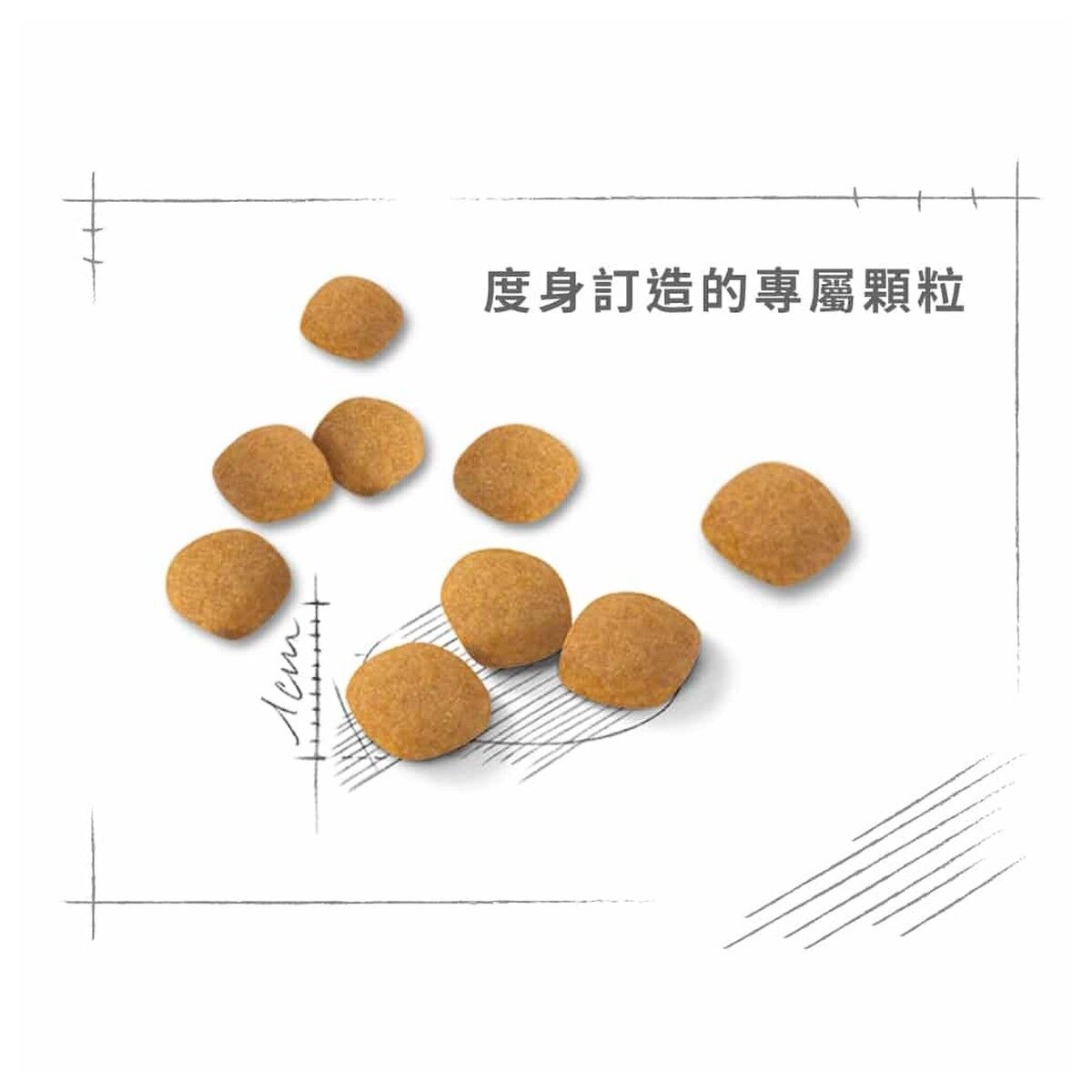 royal-canin-cat-food-feline-preference-protein-exigent-adult-hk-4-rc-exp-c.jpg