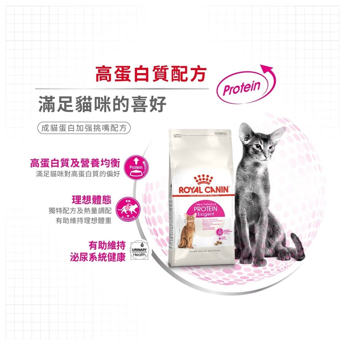 royal-canin-cat-food-feline-preference-protein-exigent-adult-hk-3-rc-exp-c.jpg
