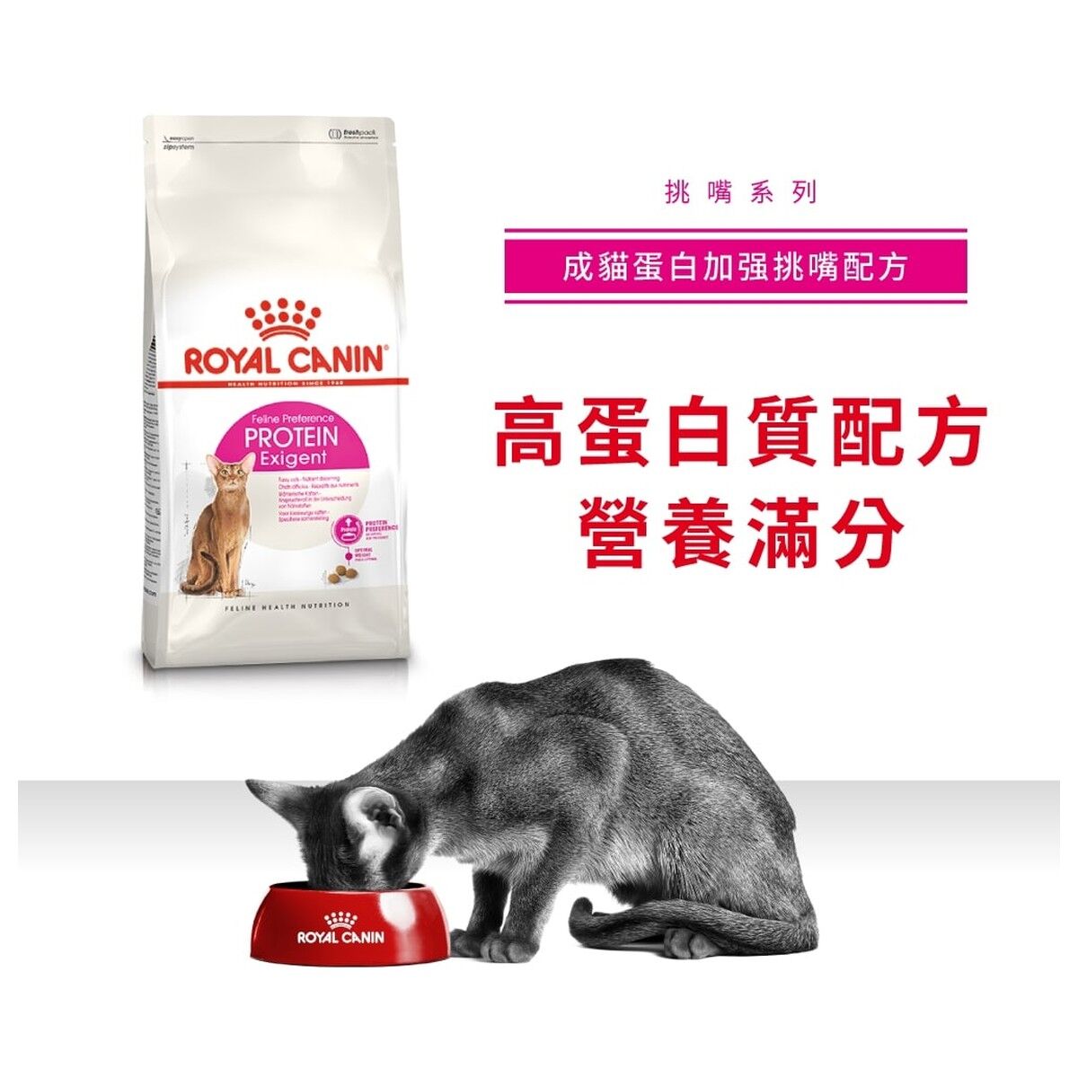 royal-canin-cat-food-feline-preference-protein-exigent-adult-hk-1-rc-exp-c.jpg