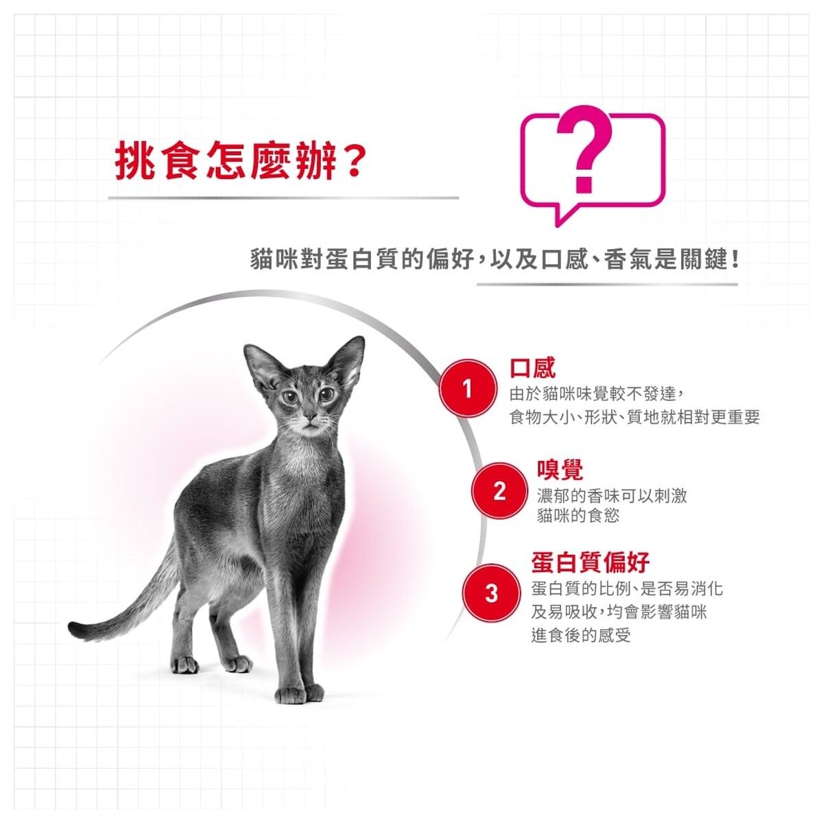 royal-canin-cat-food-feline-preference-aroma-exigent-adult-hk-2-rc-exa-c.jpg