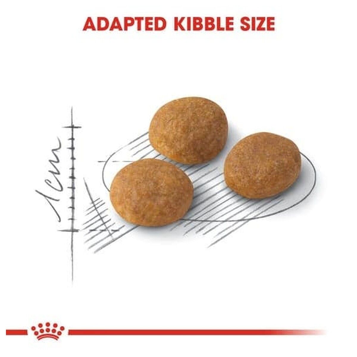 royal-canin-cat-food-feline-preference-aroma-exigent-adult-kibble-rc-exa-c.jpg