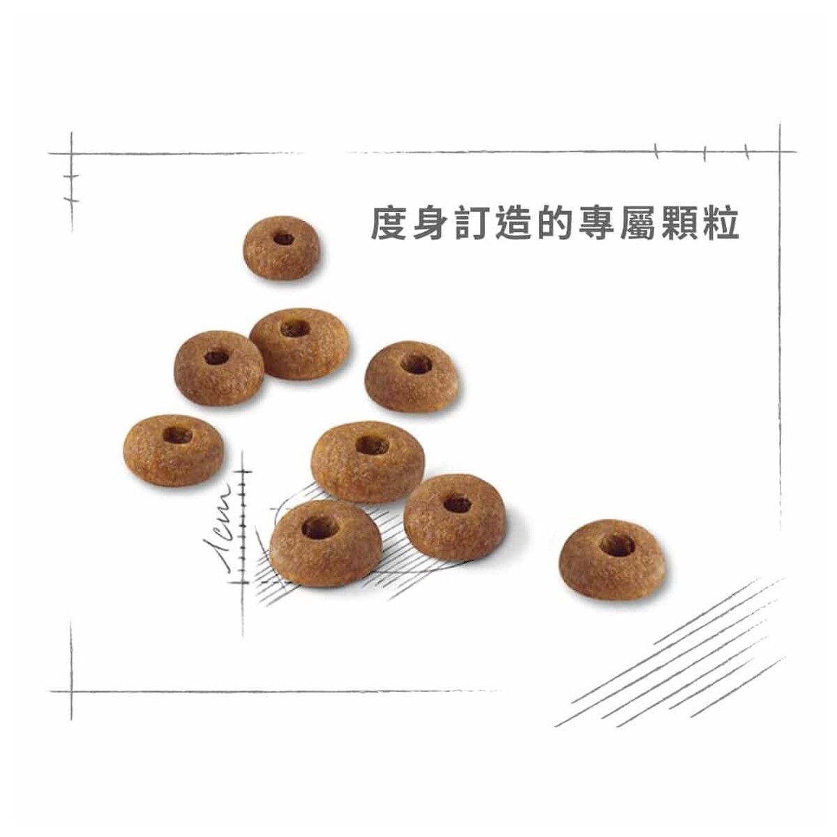 royal-canin-cat-food-regular-fit-adult-hk-4-rc-fit32-c.jpg