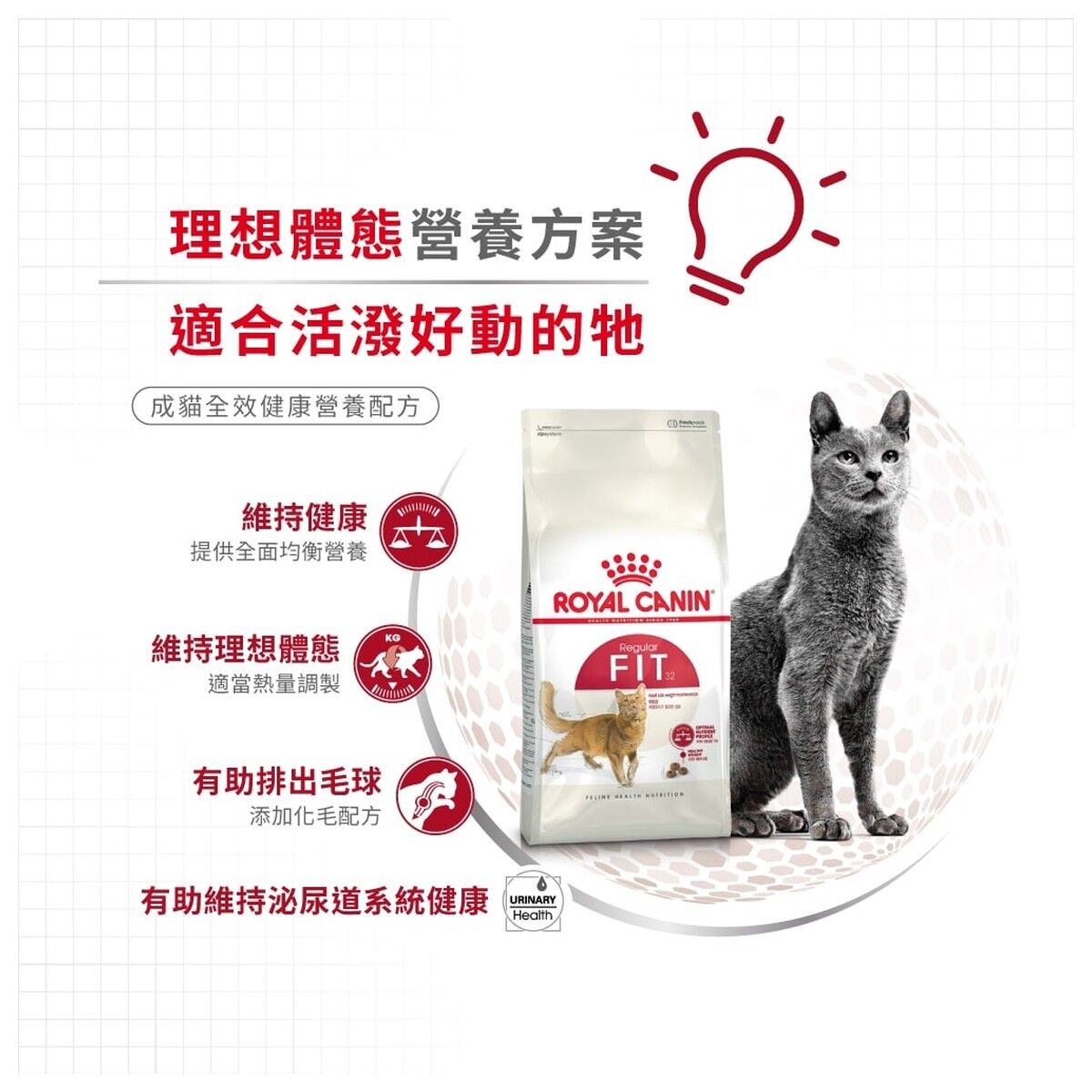 royal-canin-cat-food-regular-fit-adult-hk-3-rc-fit32-c.jpg