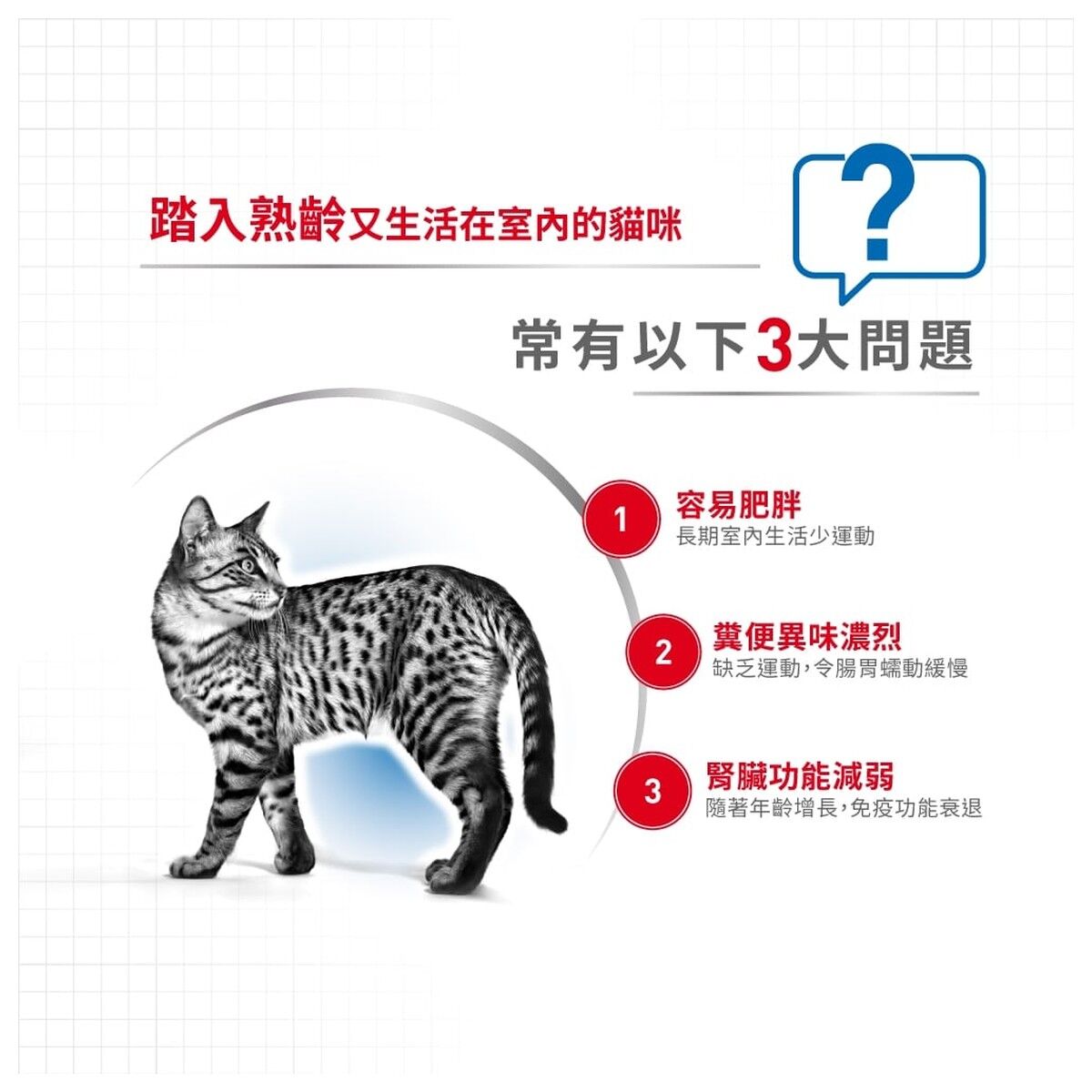 royal-canin-senior-cat-food-home-life-indoor-7-plus-hk-2-rc-inma27-c.jpg