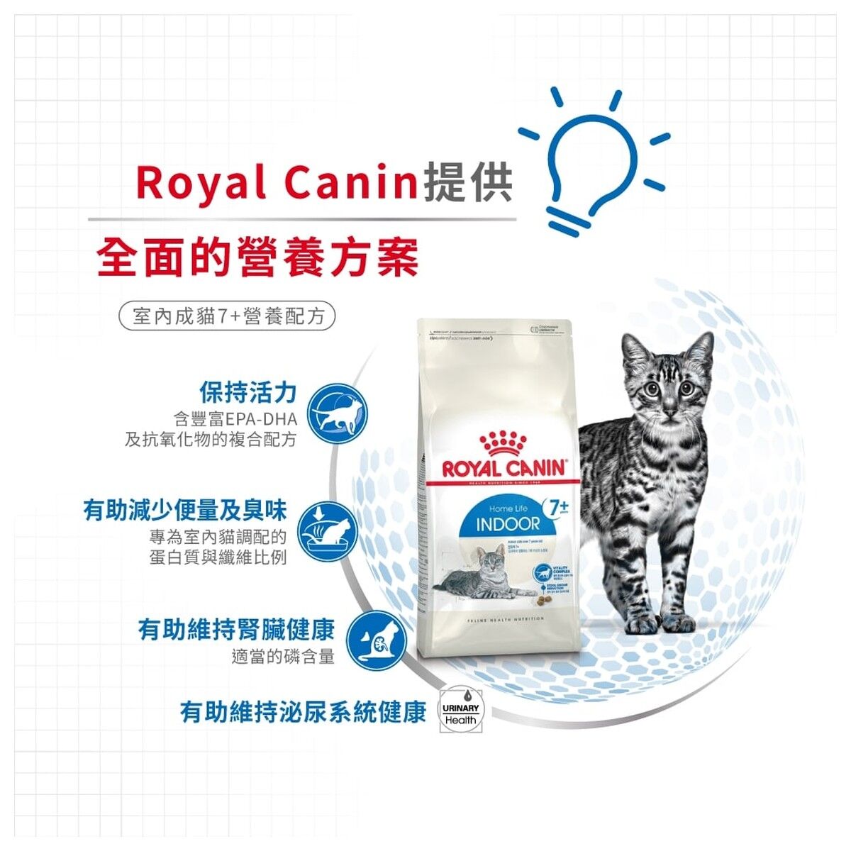 royal-canin-senior-cat-food-home-life-indoor-7-plus-hk-3-rc-inma27-c.jpg