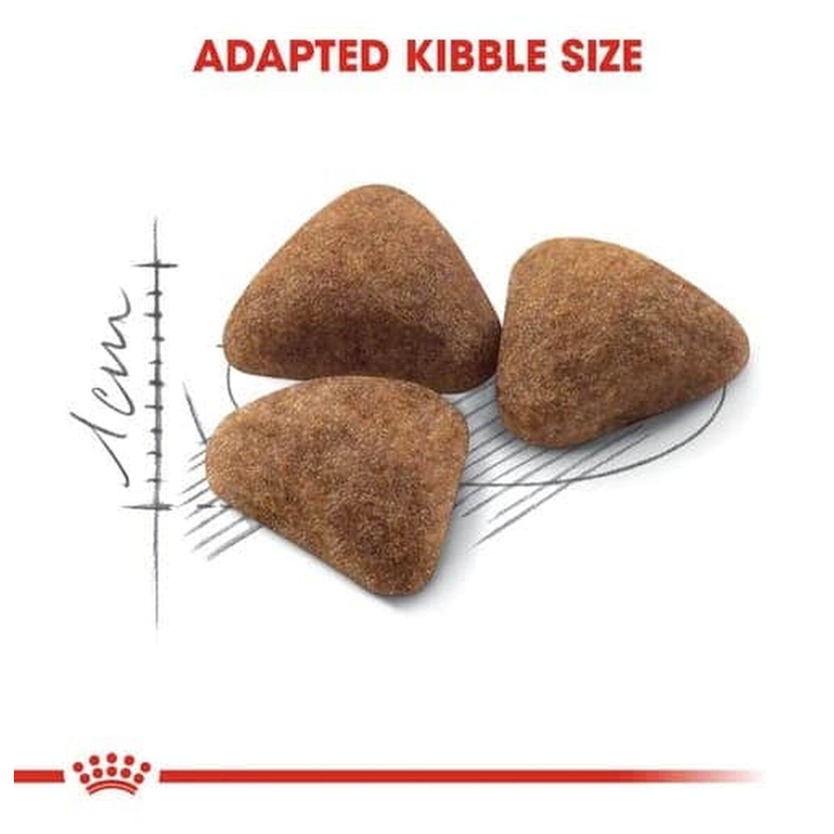 royal-canin-cat-food-home-life-indoor-adult-kibble-rc-in27-c.jpg