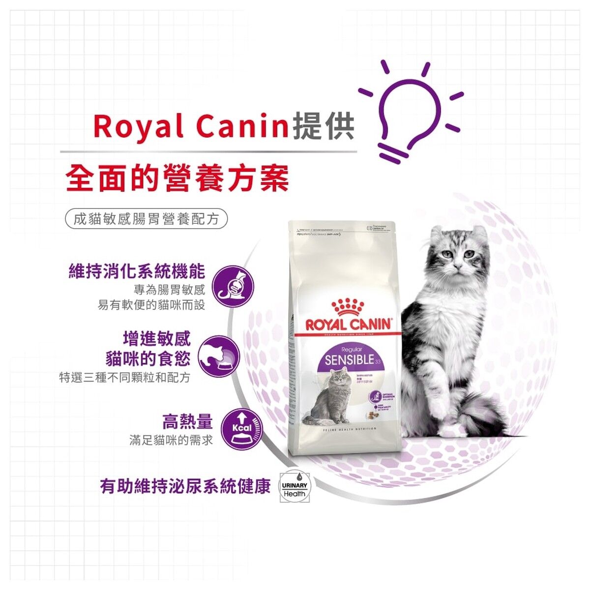 royal-canin-cat-food-regular-sensible-adult-hk-3-rc-s33-c.jpg