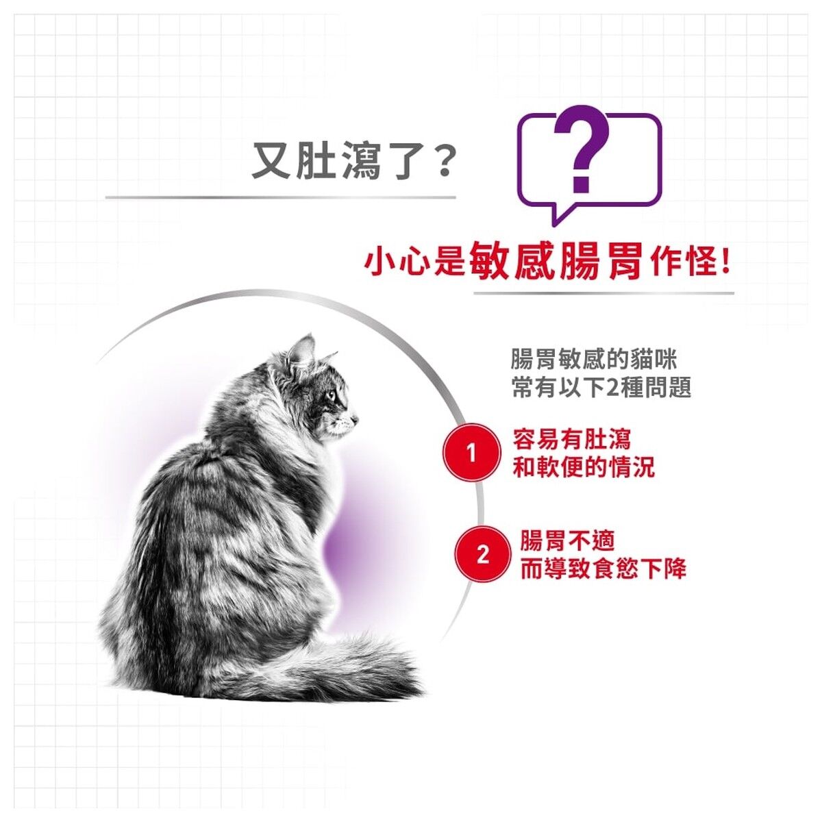 royal-canin-cat-food-regular-sensible-adult-hk-2-rc-s33-c.jpg