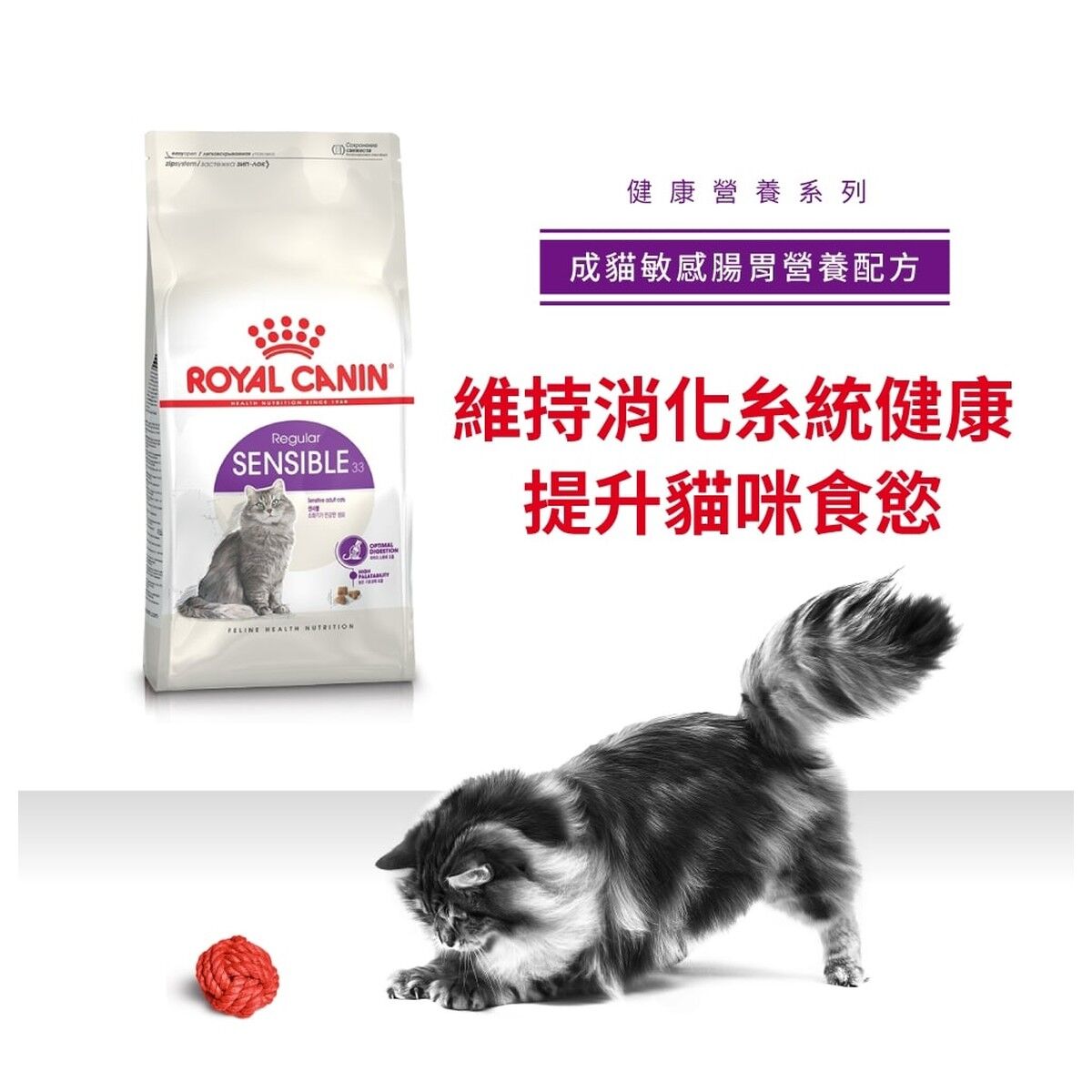 royal-canin-cat-food-regular-sensible-adult-hk-1-rc-s33-c.jpg
