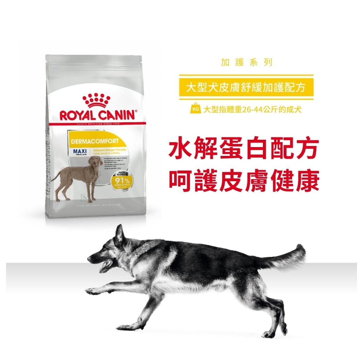 royal-canin-dog-food-maxi-dermacomfort-adult-12kg-hk-1-rc-dcmx-12.jpg