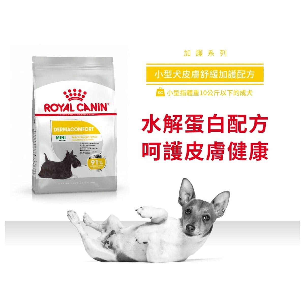 royal-canin-dog-food-mini-dermacomfort-adult-hk-1-rc-dcmi-c.jpg