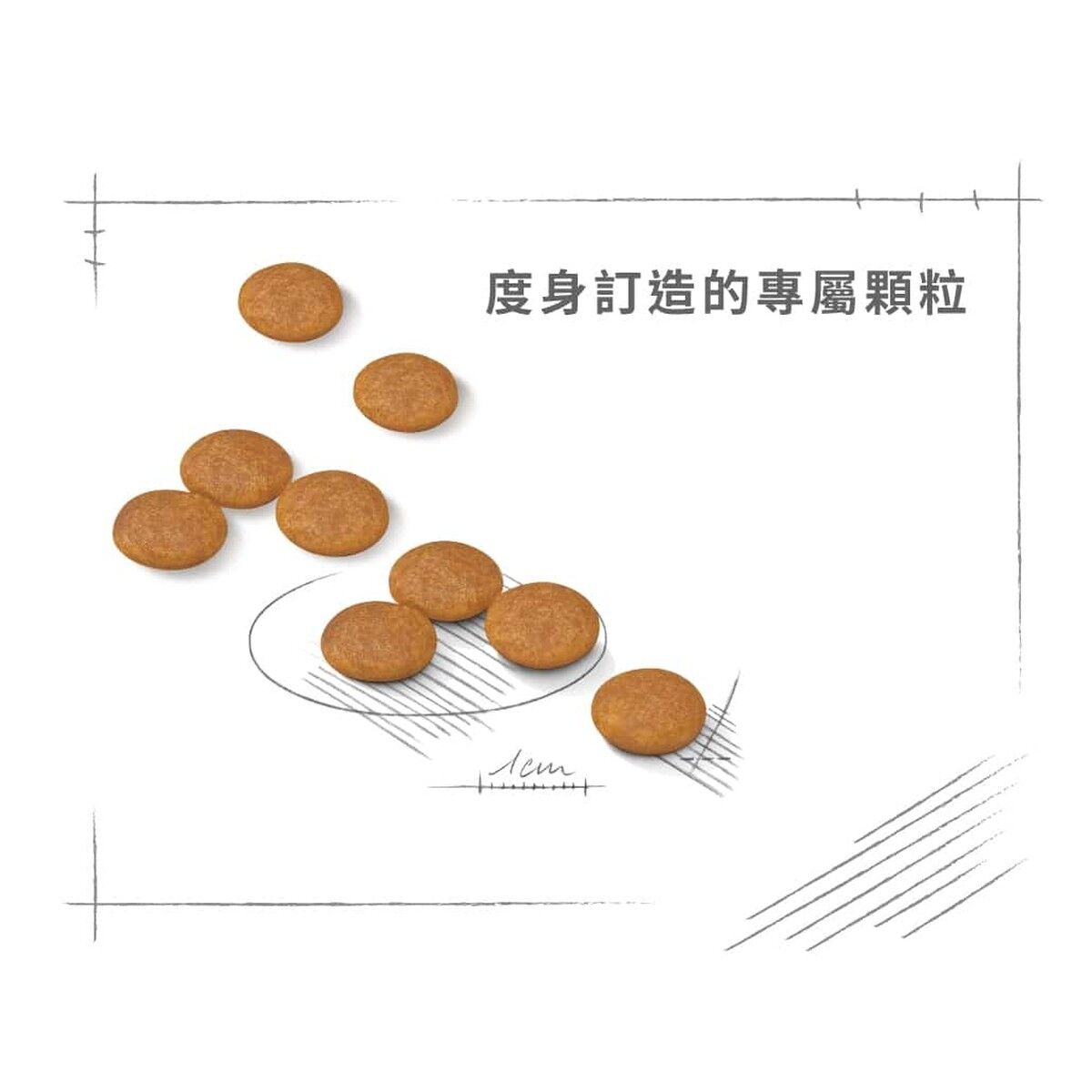 royal-canin-dog-food-mini-dermacomfort-adult-hk-4-rc-dcmi-c.jpg
