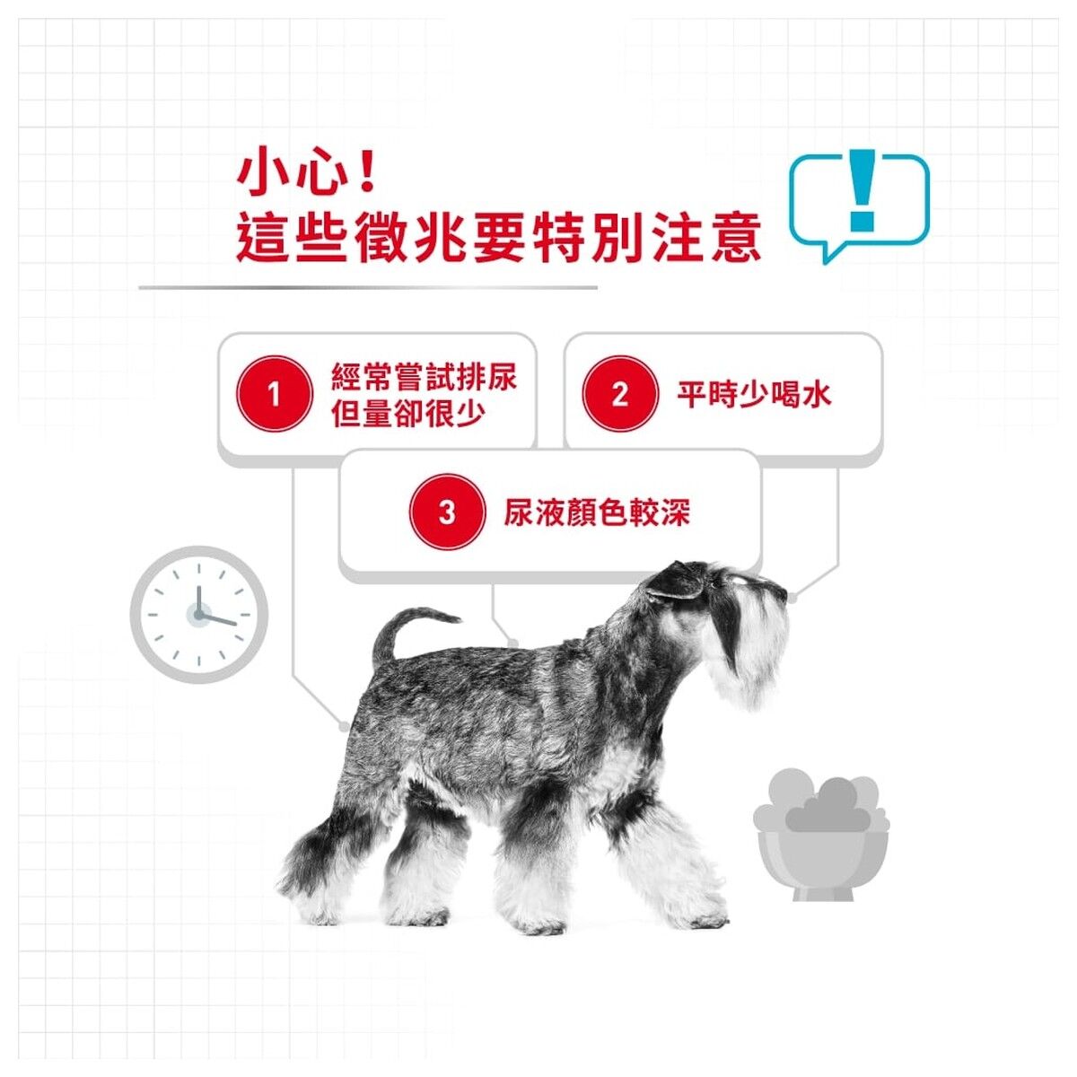 royal-canin-dog-food-mini-urinary-care-adult-hk-2-rc-2732600-c.jpg