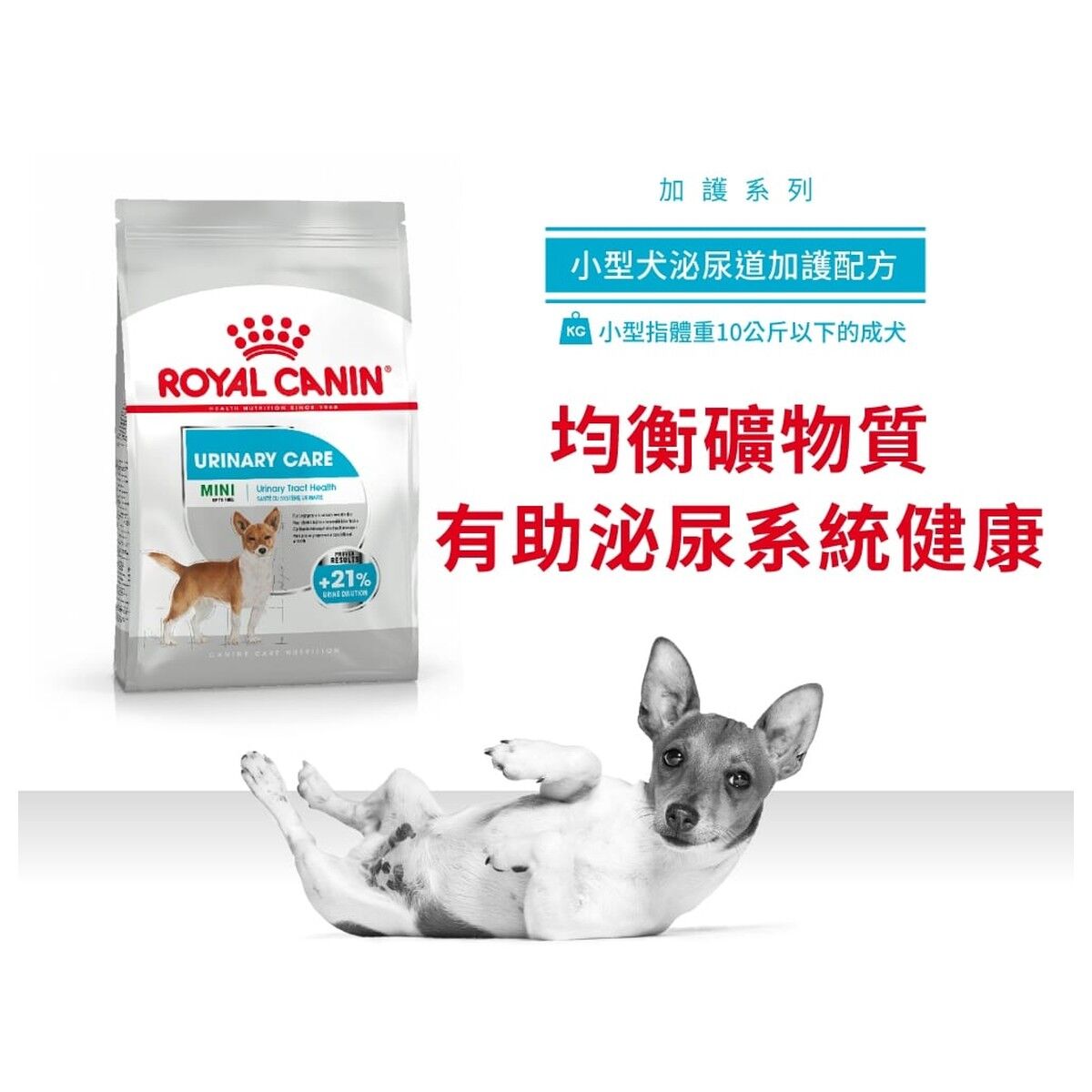royal-canin-dog-food-mini-urinary-care-adult-hk-1-rc-2732600-c.jpg
