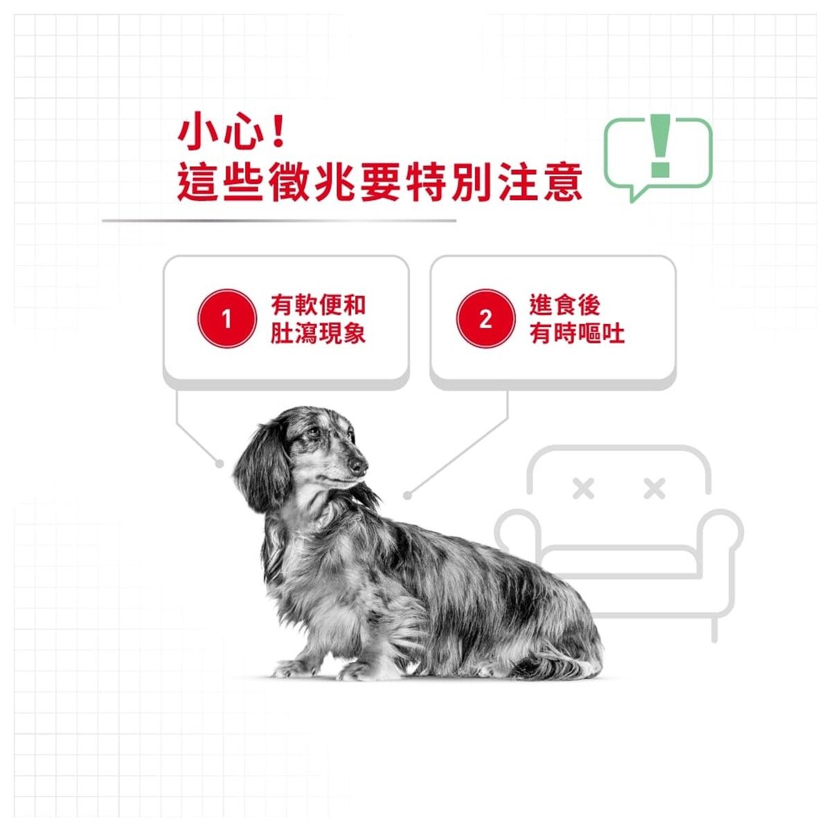 royal-canin-dog-food-mini-digestive-care-adult-hk-2-rc-dgmi-c.jpg