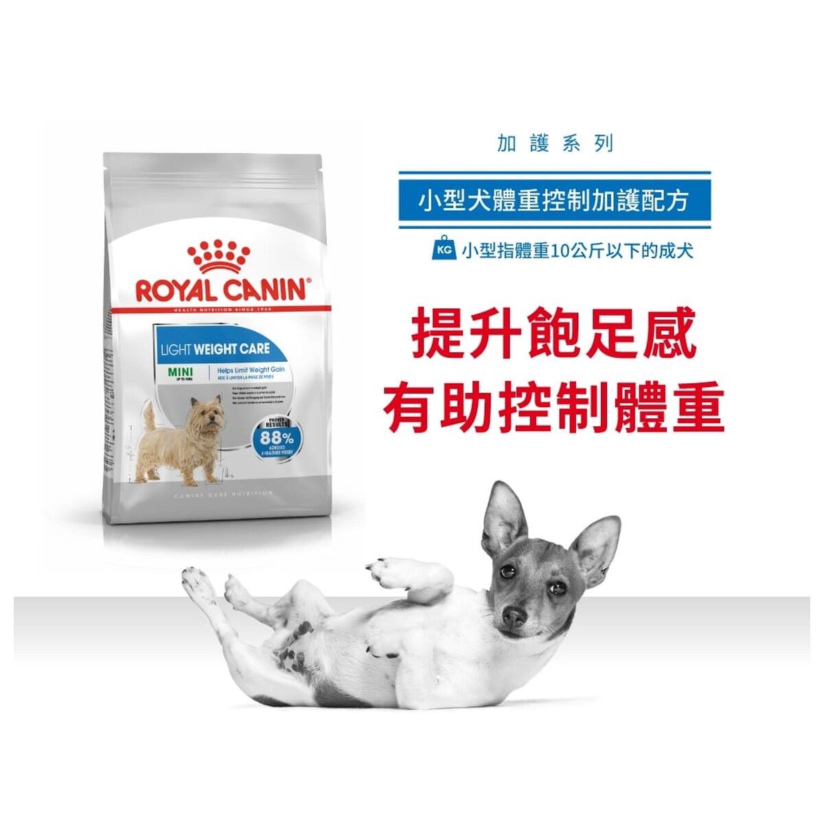 royal-canin-dog-food-mini-light-weight-care-adult-hk-1-rc-2722500-c.jpg