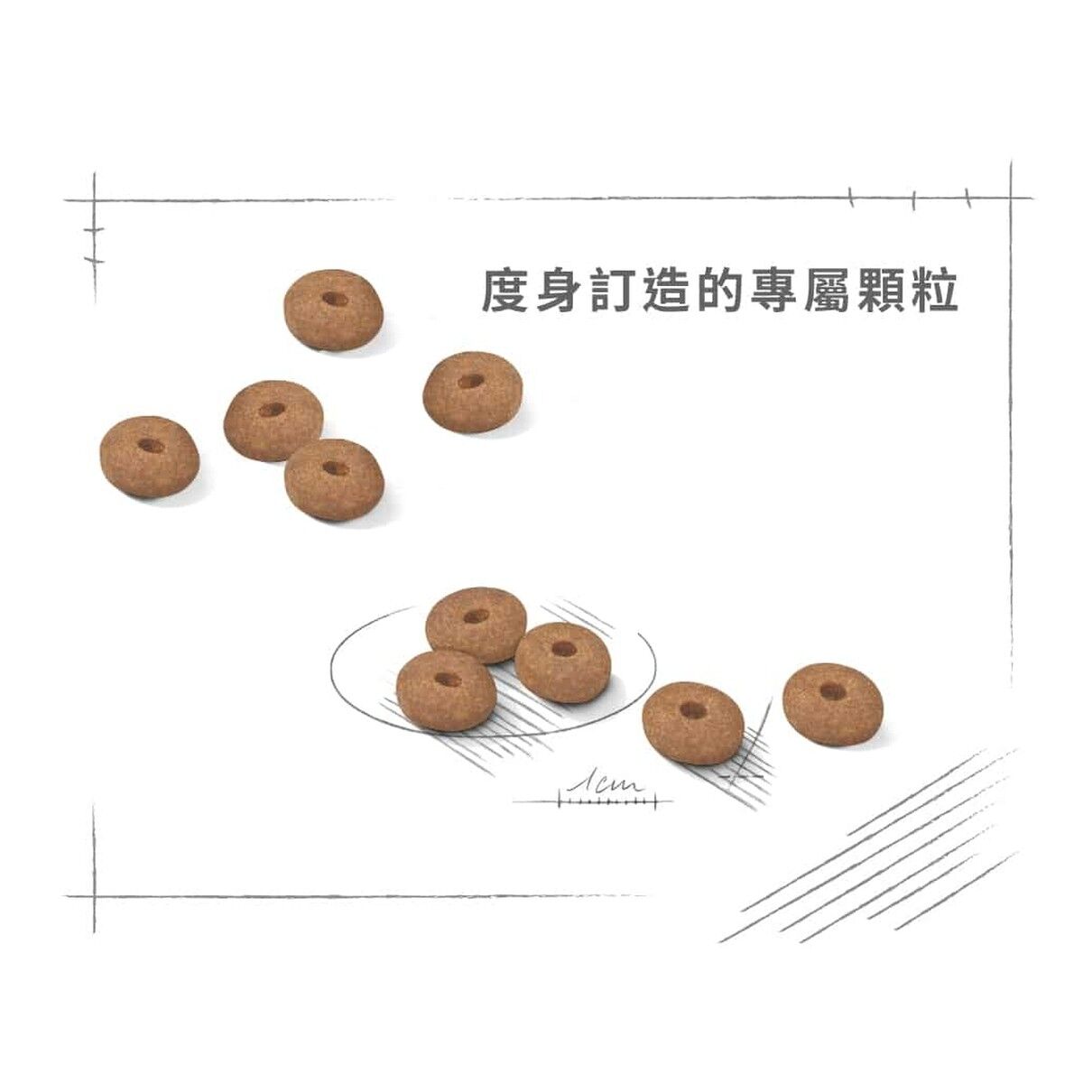 royal-canin-dog-food-mini-light-weight-care-adult-hk-4-rc-2722500-c.jpg