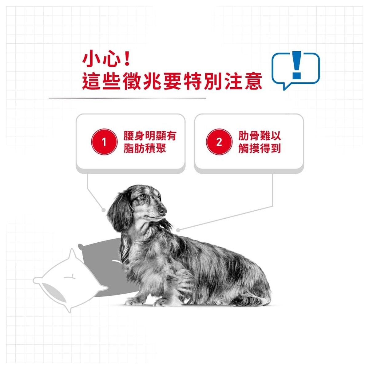 royal-canin-dog-food-mini-light-weight-care-adult-hk-2-rc-2722500-c.jpg
