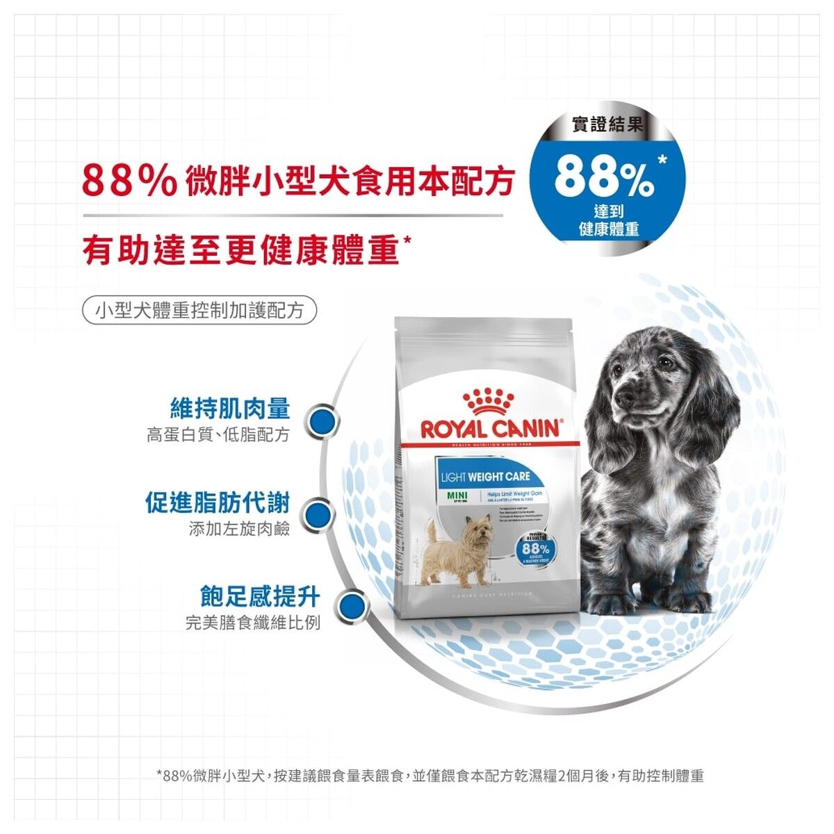 royal-canin-dog-food-mini-light-weight-care-adult-hk-3-rc-2722500-c.jpg