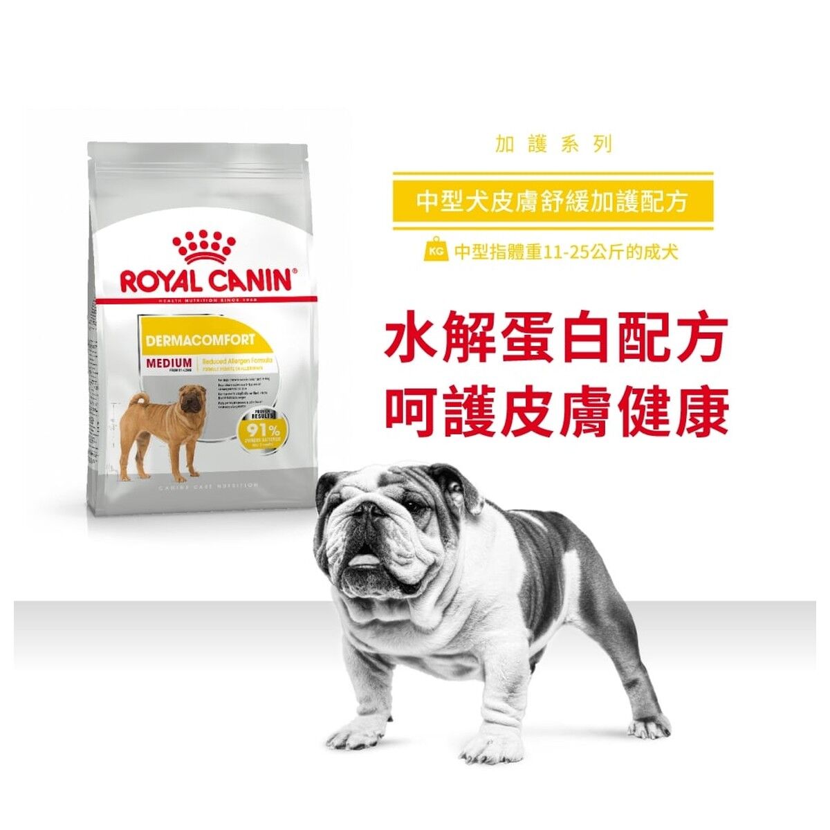 royal-canin-dog-food-medium-dermacomfort-adult-hk-1-rc-dcme-c.jpg