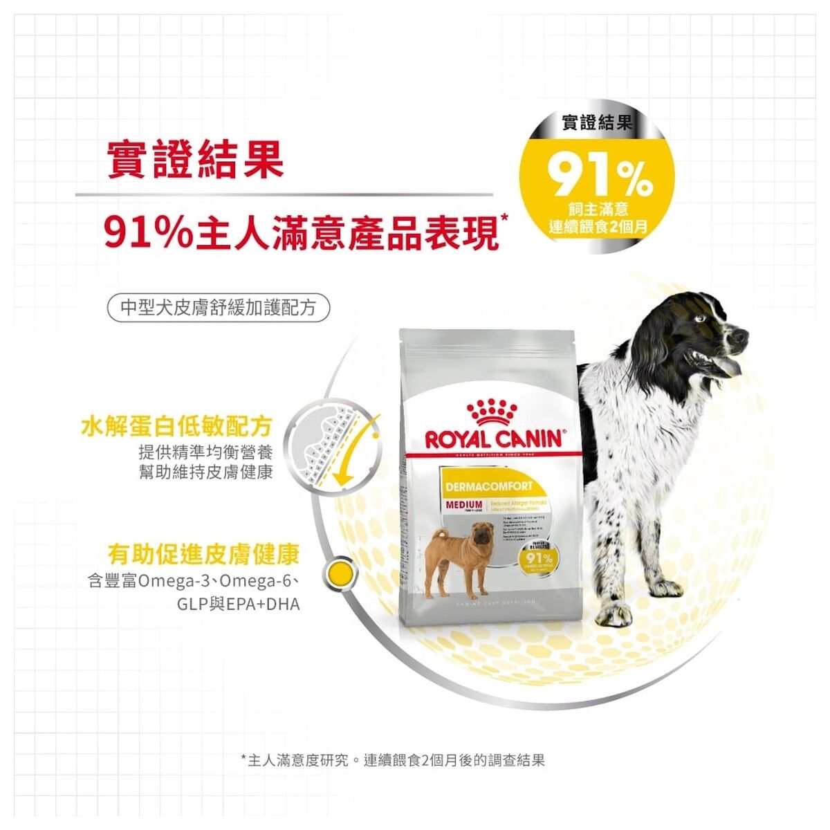 royal-canin-dog-food-medium-dermacomfort-adult-hk-3-rc-dcme-c.jpg