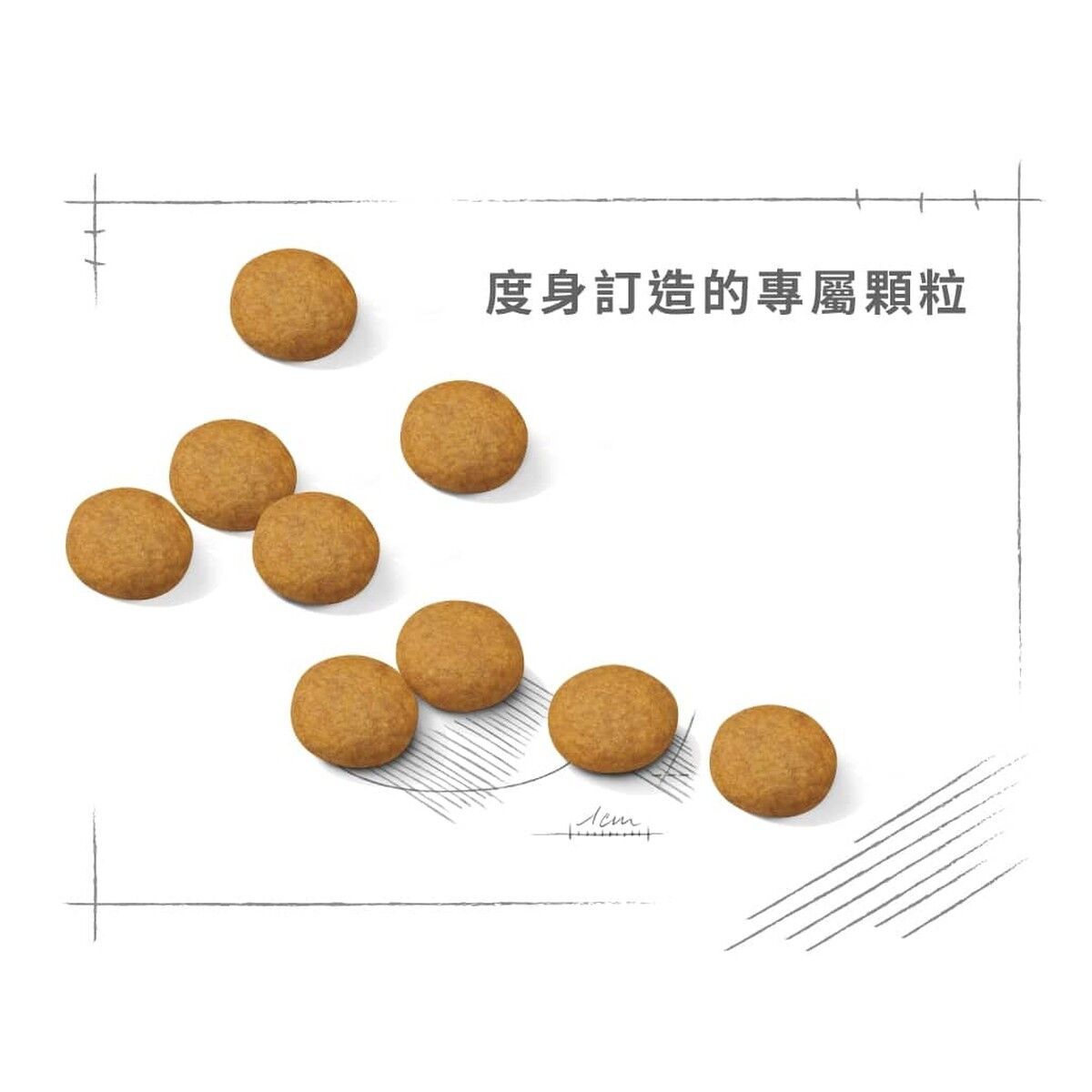 royal-canin-dog-food-medium-dermacomfort-adult-hk-4-rc-dcme-c.jpg