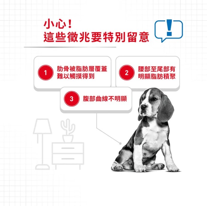 螢幕擷取畫面 2026-08-28 121201.jpg