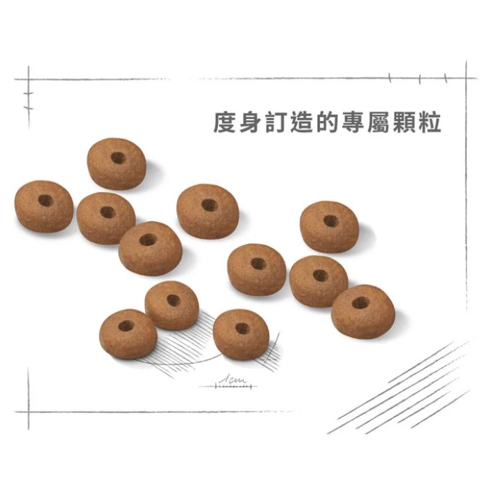 螢幕擷取畫面 2026-08-28 121232.jpg