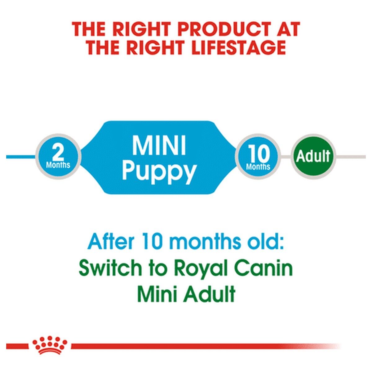 royal-canin-puppy-food-mini-puppy-kibble-rc-apr33-c-2.jpg