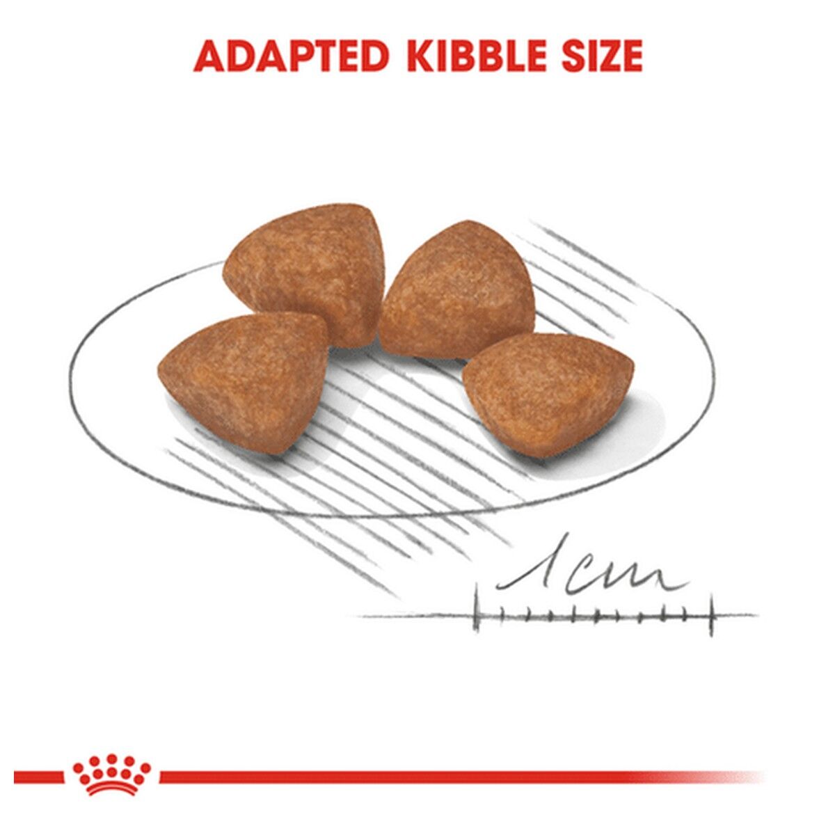 royal-canin-puppy-food-x-small-puppy-1-5kg-kibble-rc-xsj1-5.jpg