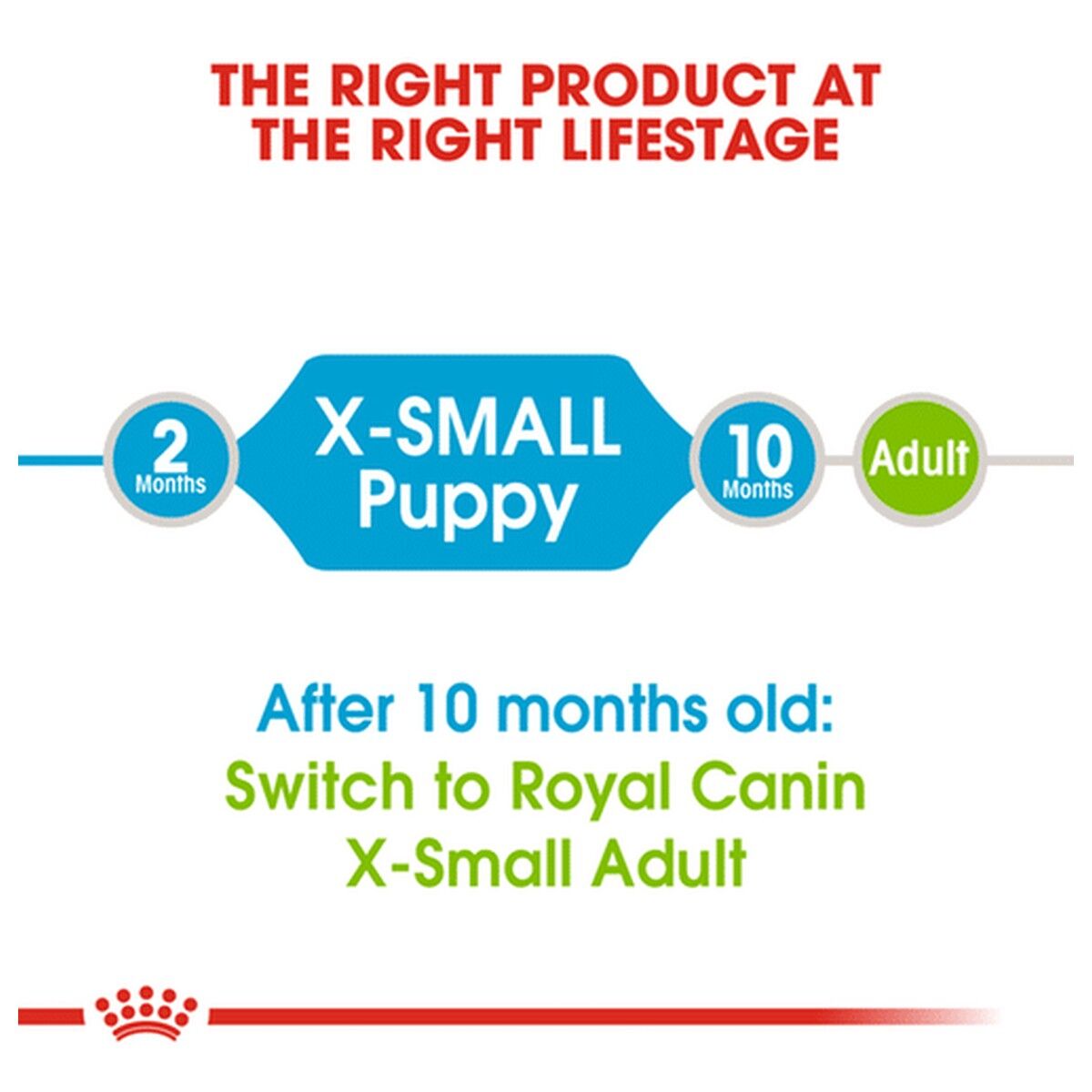royal-canin-puppy-food-x-small-puppy-1-5kg-kibble-rc-xsj1-5-2.jpg