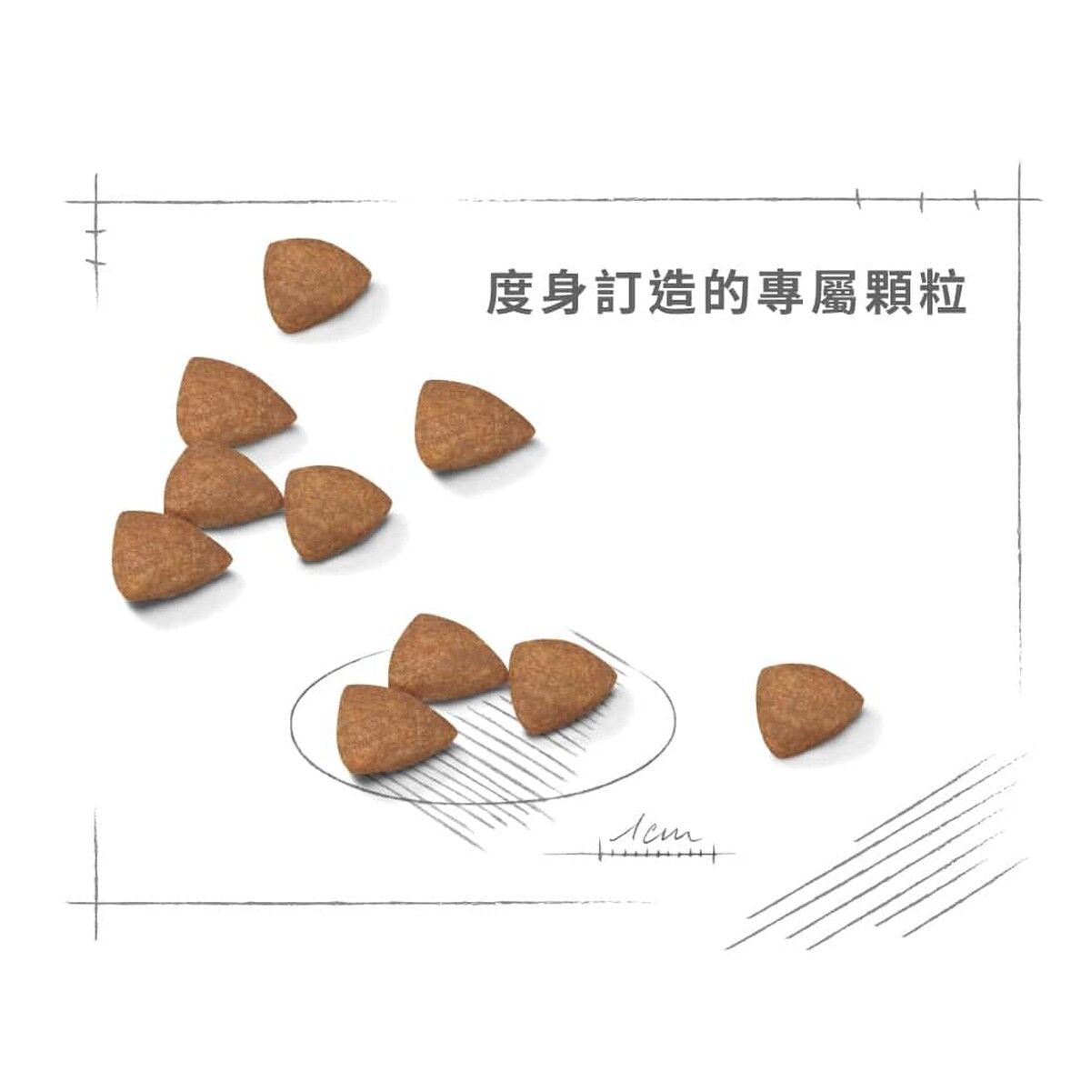 royal-canin-dog-food-mini-indoor-adult-hk-4-rc-ila-c.jpg