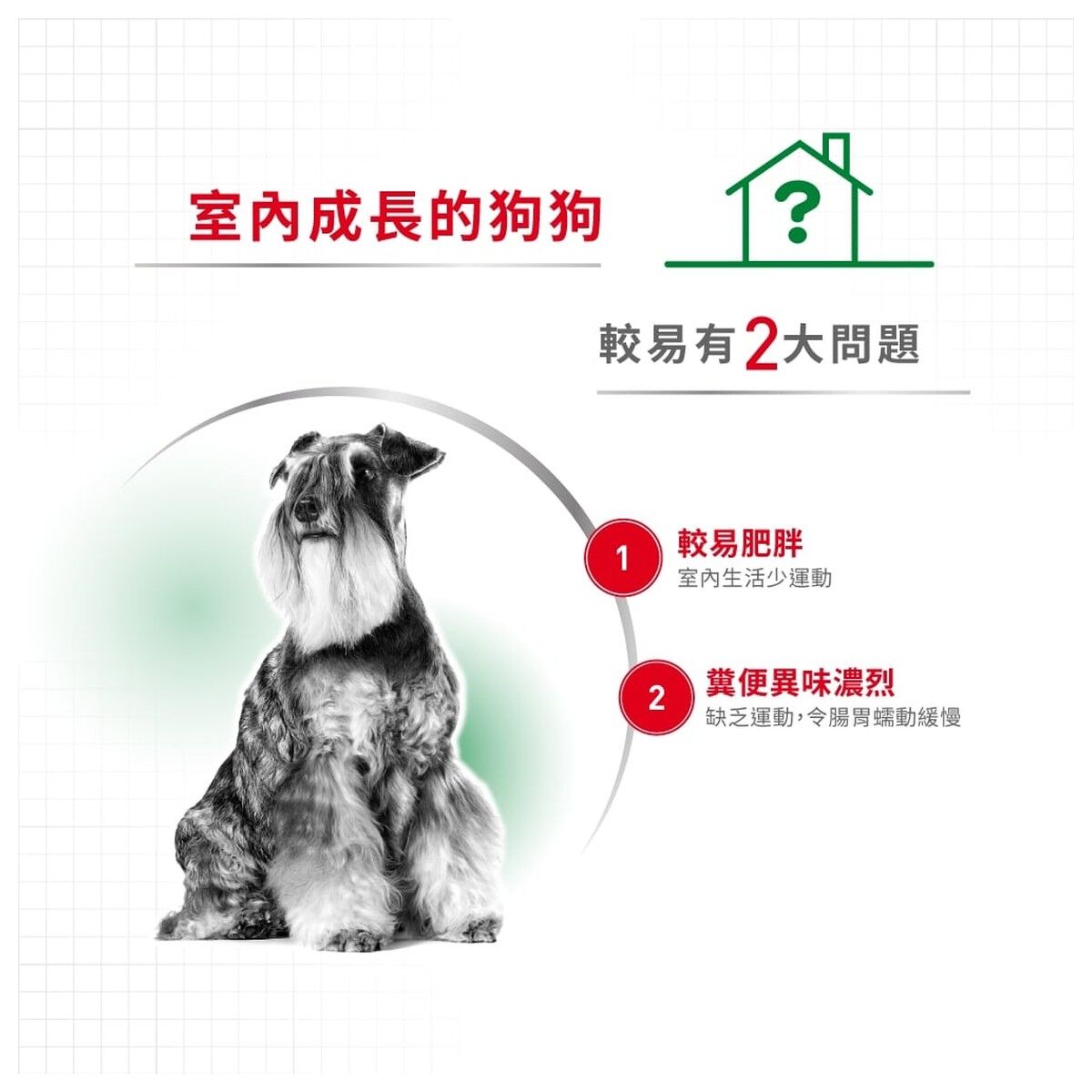 royal-canin-dog-food-mini-indoor-adult-hk-2-rc-ila-c.jpg