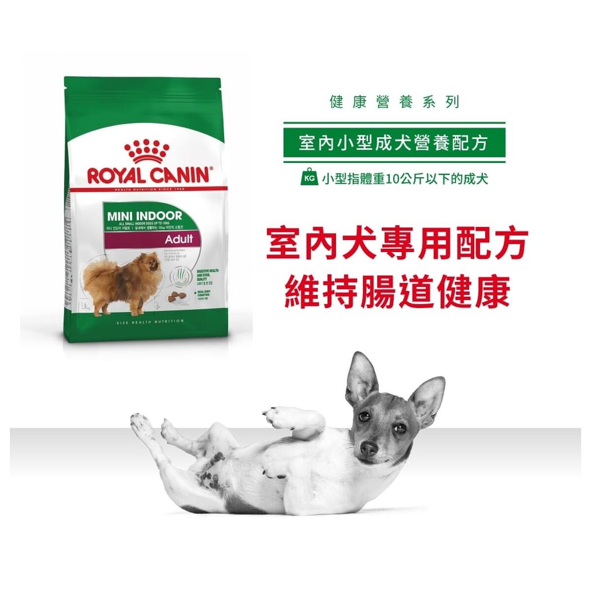royal-canin-dog-food-mini-indoor-adult-hk-1-rc-ila-c.jpg