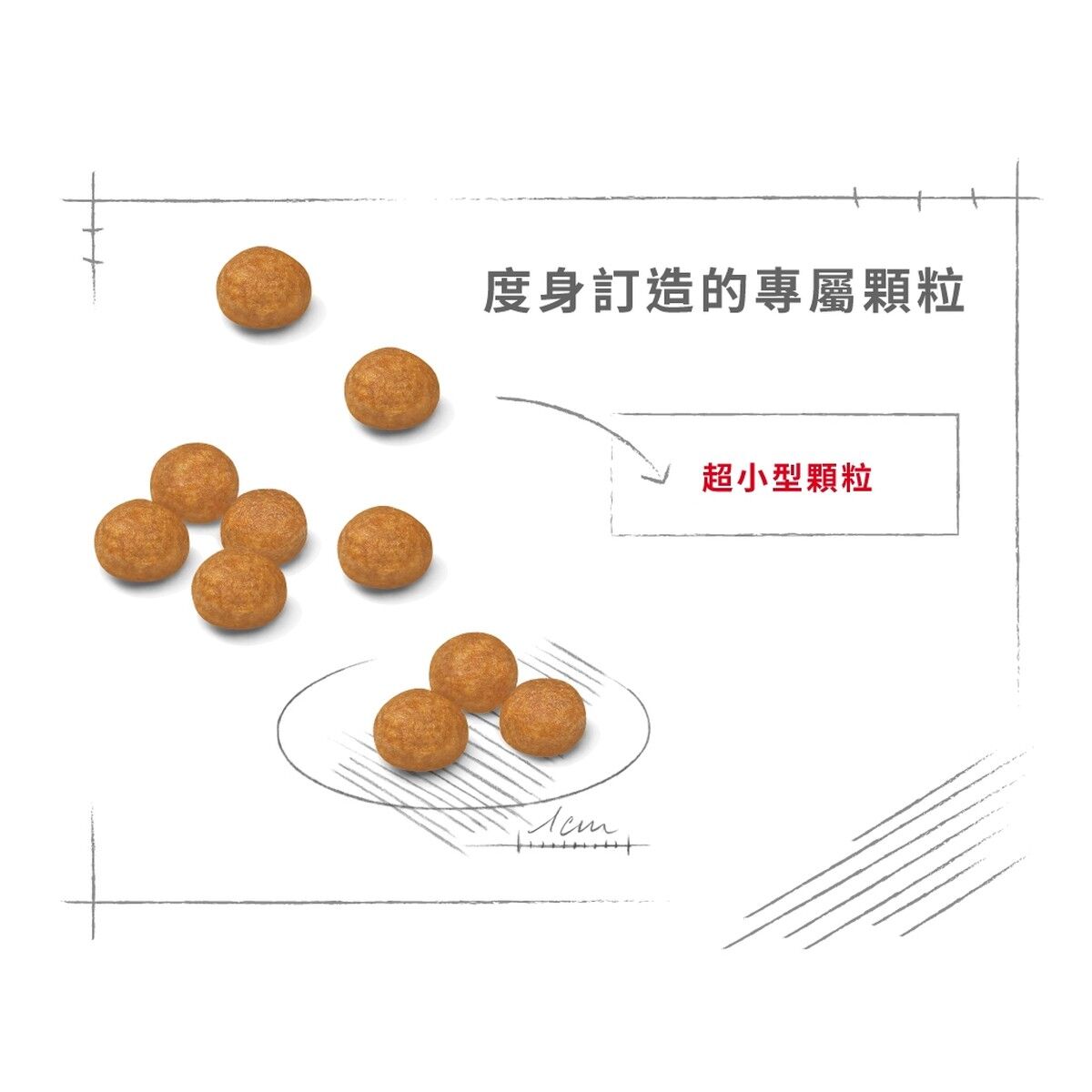 royal-canin-dog-food-x-small-adult-hk-4-rc-xsa-c.jpg