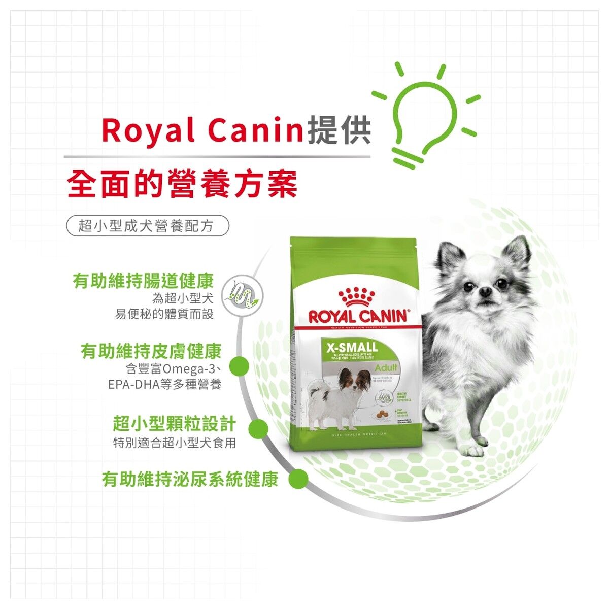 royal-canin-dog-food-x-small-adult-hk-3-rc-xsa-c.jpg