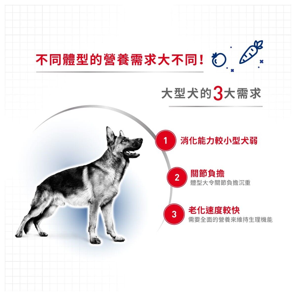royal-canin-dog-food-maxi-adult-hk-2-rc-gr26-c.jpg