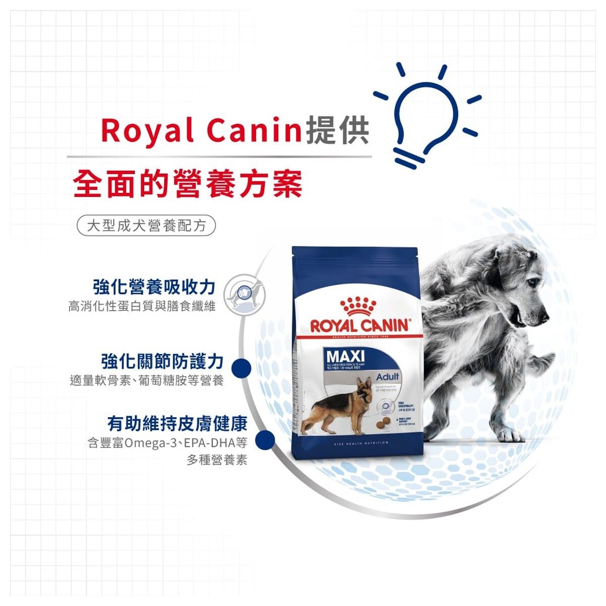 royal-canin-dog-food-maxi-adult-hk-3-rc-gr26-c.jpg