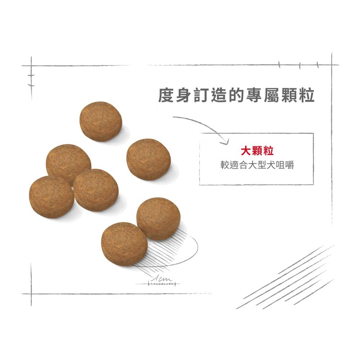 royal-canin-dog-food-maxi-adult-hk-4-rc-gr26-c.jpg