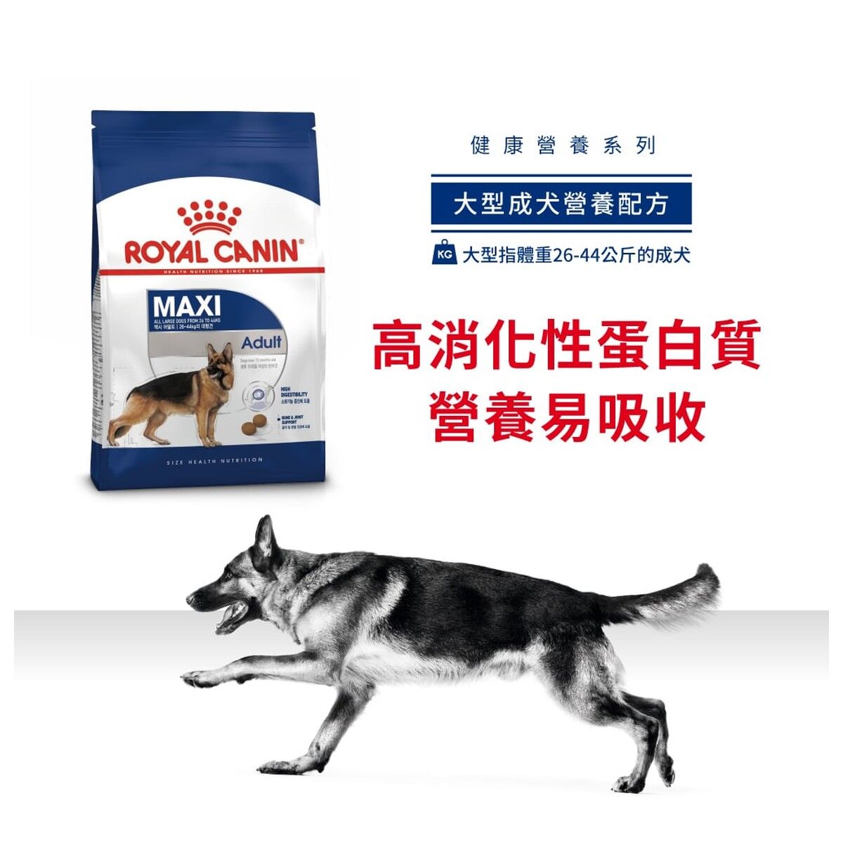 royal-canin-dog-food-maxi-adult-hk-1-rc-gr26-c.jpg