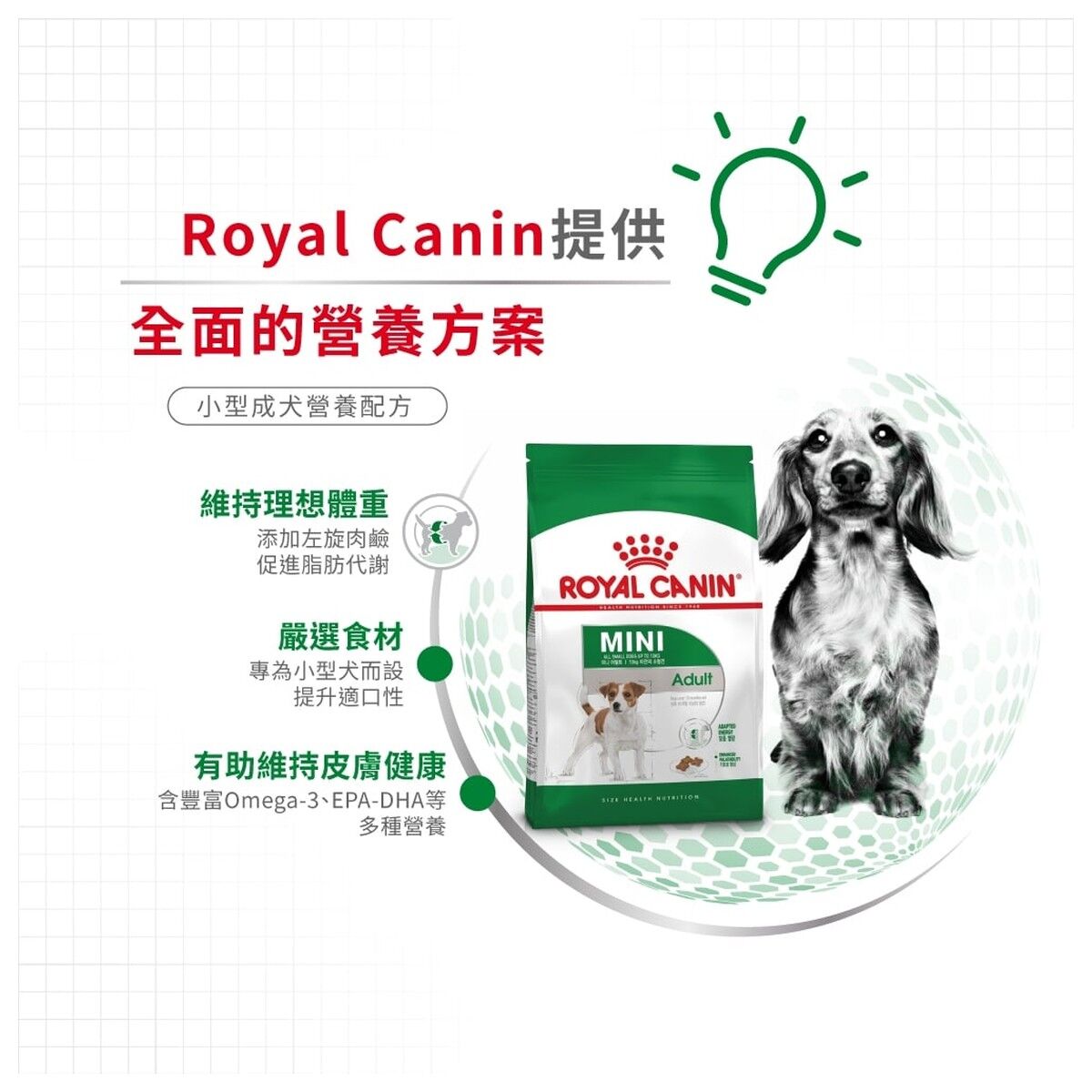 royal-canin-dog-food-mini-adult-hk-3-rc-pr27-c.jpg