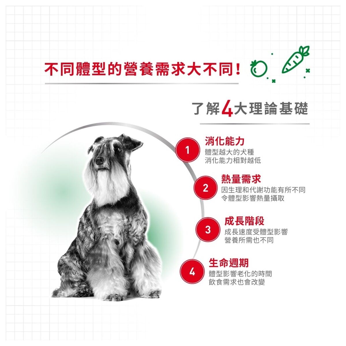 royal-canin-dog-food-mini-adult-hk-2-rc-pr27-c.jpg